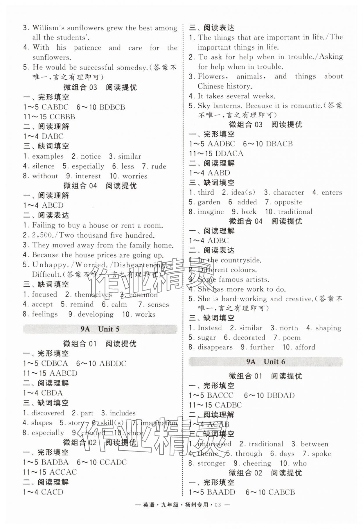 2025年學霸組合訓練九年級英語全一冊譯林版揚州專版&nbsp;第3頁
