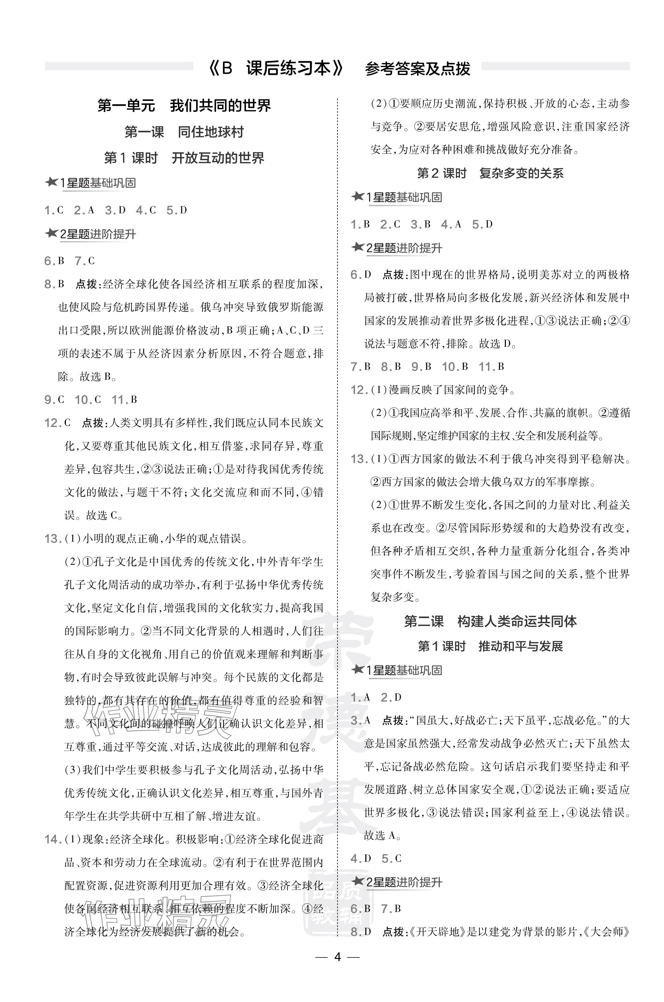 2024年點撥訓練九年級道德與法治下冊人教版海南專版 參考答案第4頁