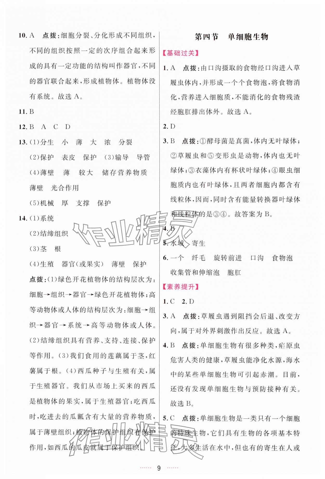 2025年三維數(shù)字課堂七年級生物上冊人教版 第9頁