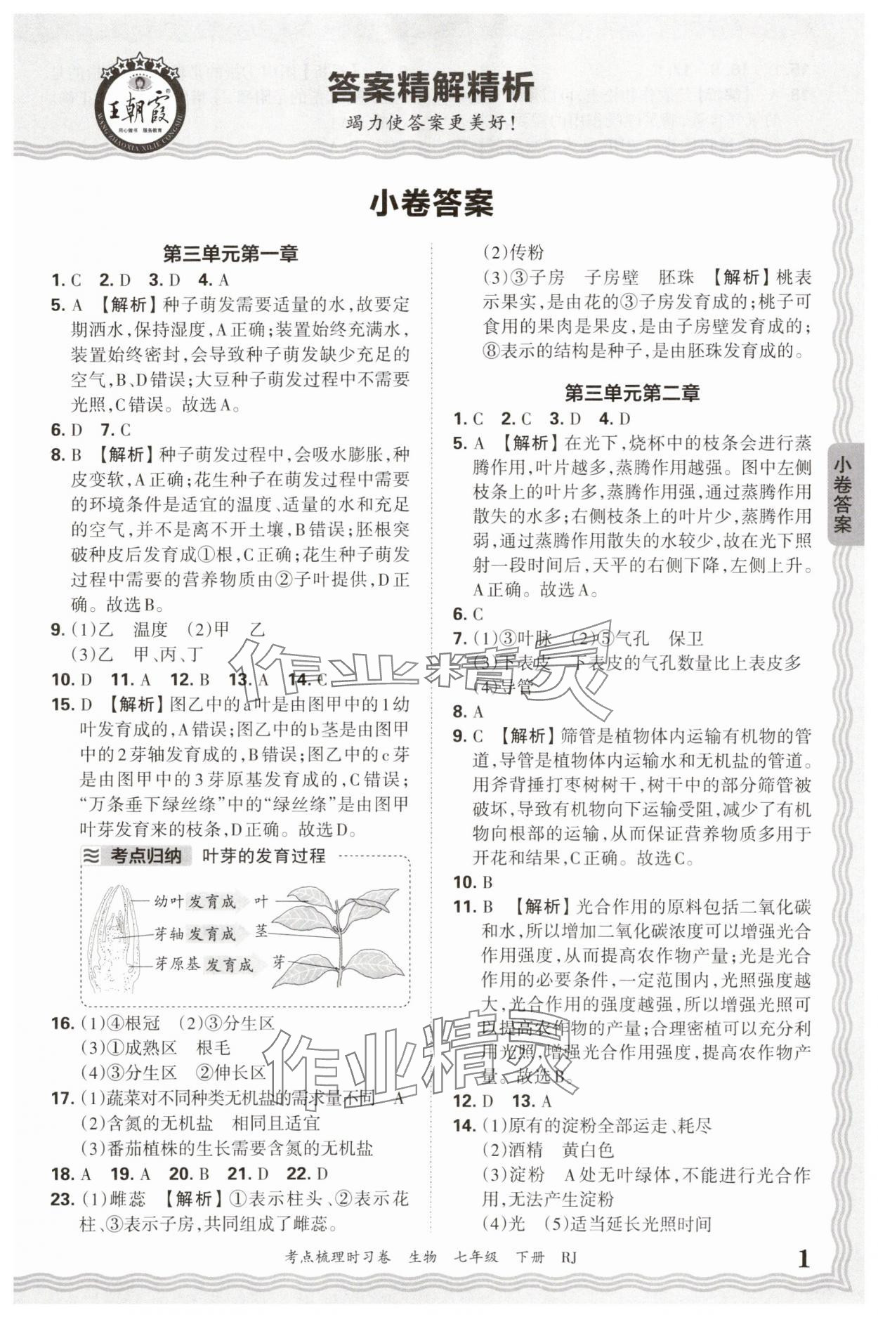 2025年王朝霞考点梳理时习卷七年级生物下册人教版 第1页