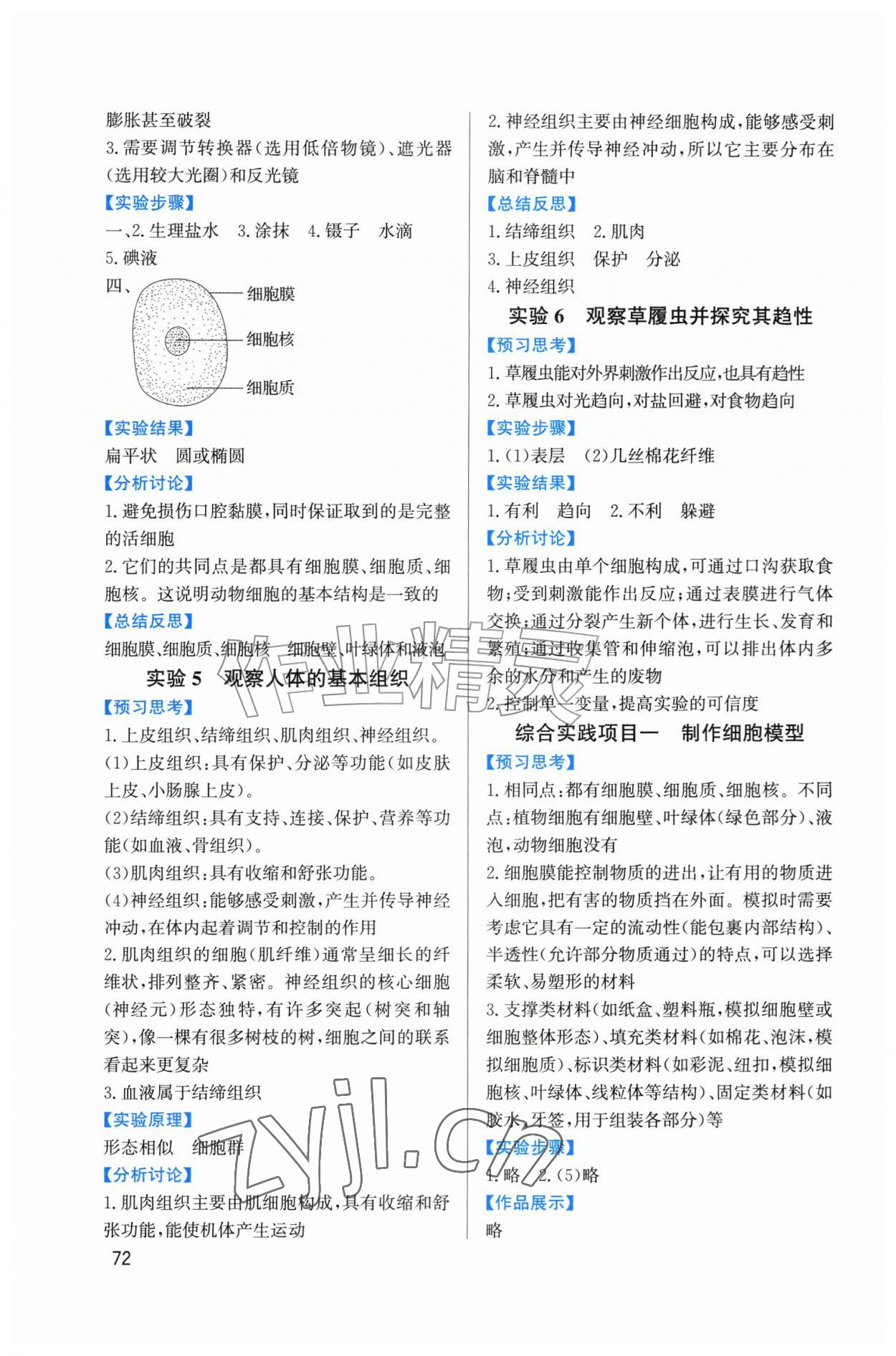 2026年实验报告册鹭江出版社七年级生物上册人教版&nbsp;第2页