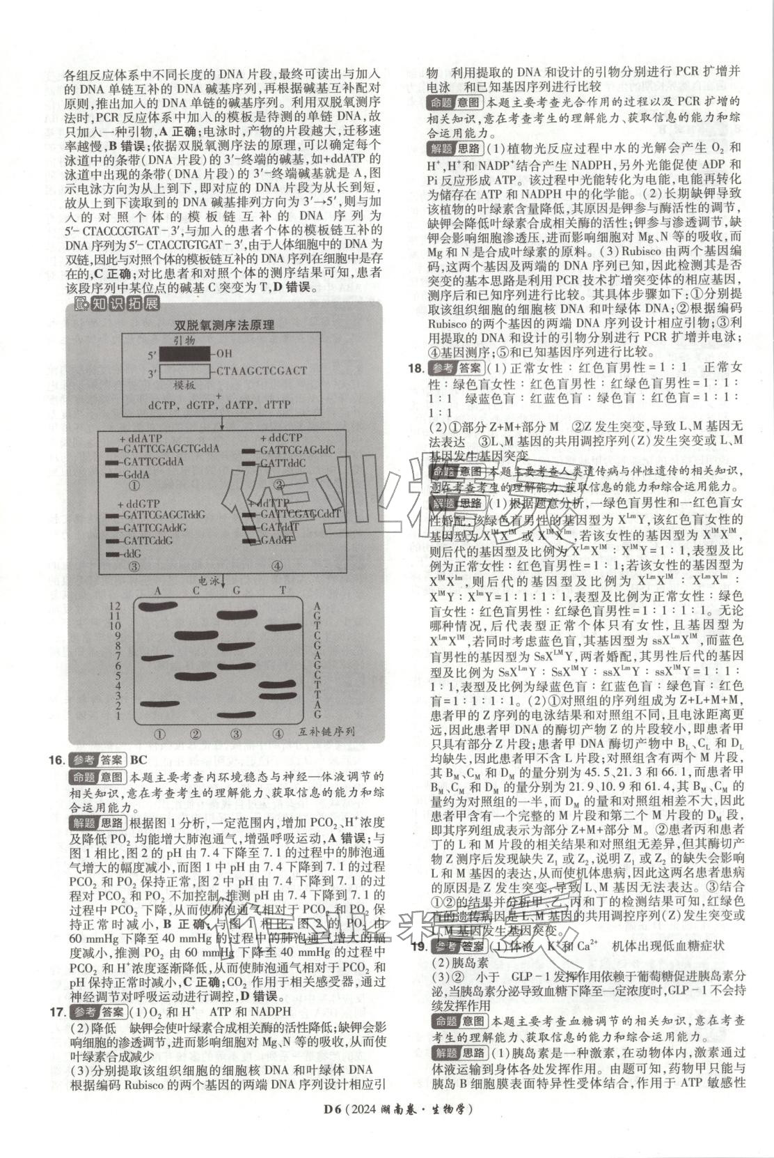 2026年新高考5年真题生物湖南专版 第6页
