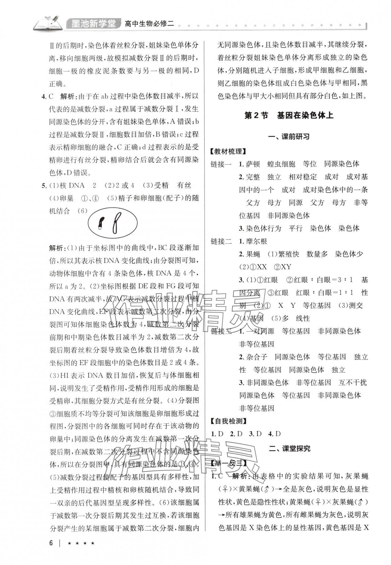 2025年墨池新學(xué)堂高中生物必修2人教版 參考答案第6頁