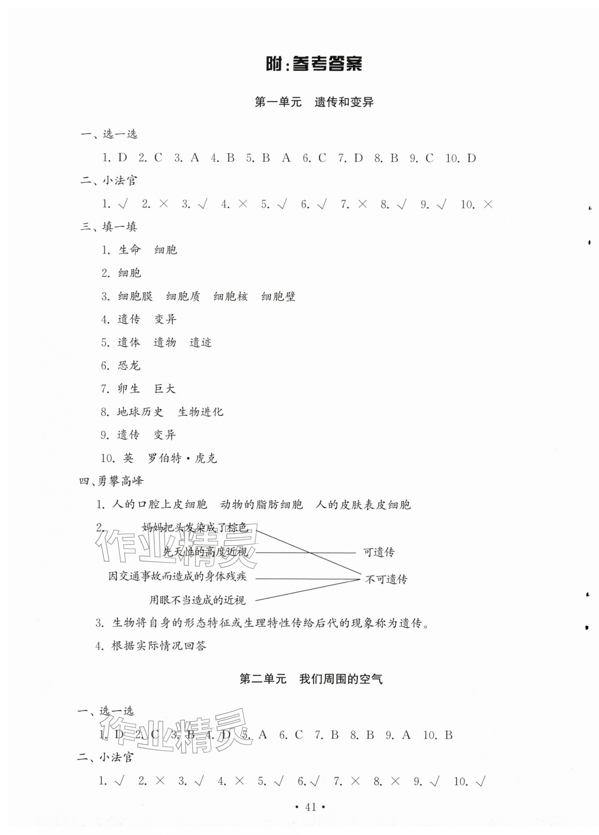 2025年小学基础训练山东教育出版社五年级科学上册青岛版五四制烟台专版 第1页