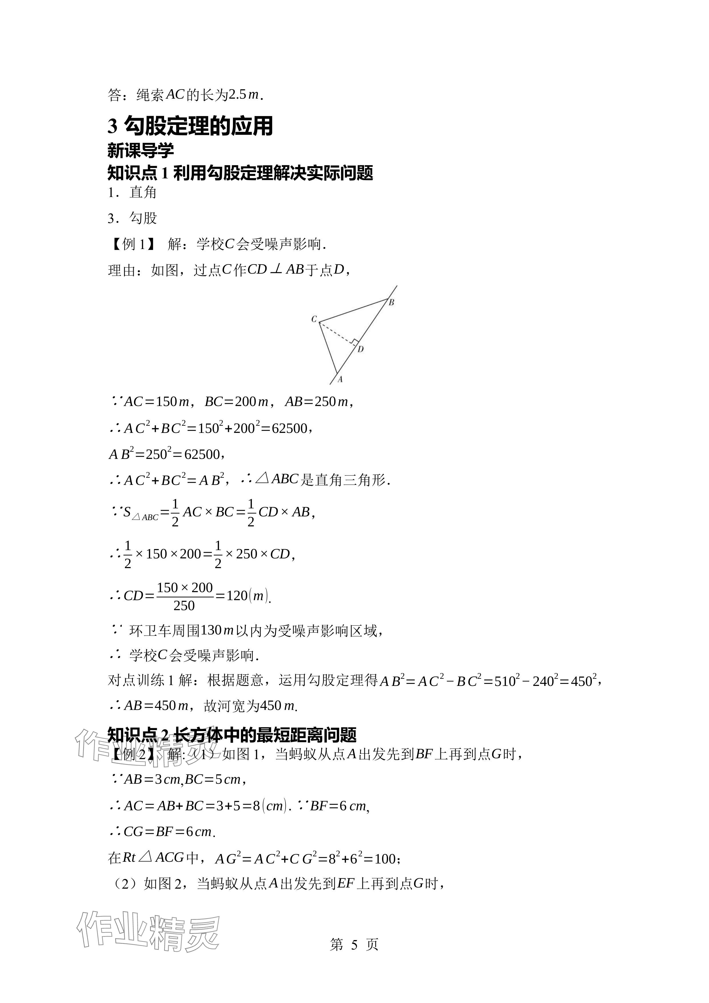 2024年廣東名師講練通八年級(jí)數(shù)學(xué)上冊(cè)北師大版深圳專(zhuān)版 參考答案第5頁(yè)