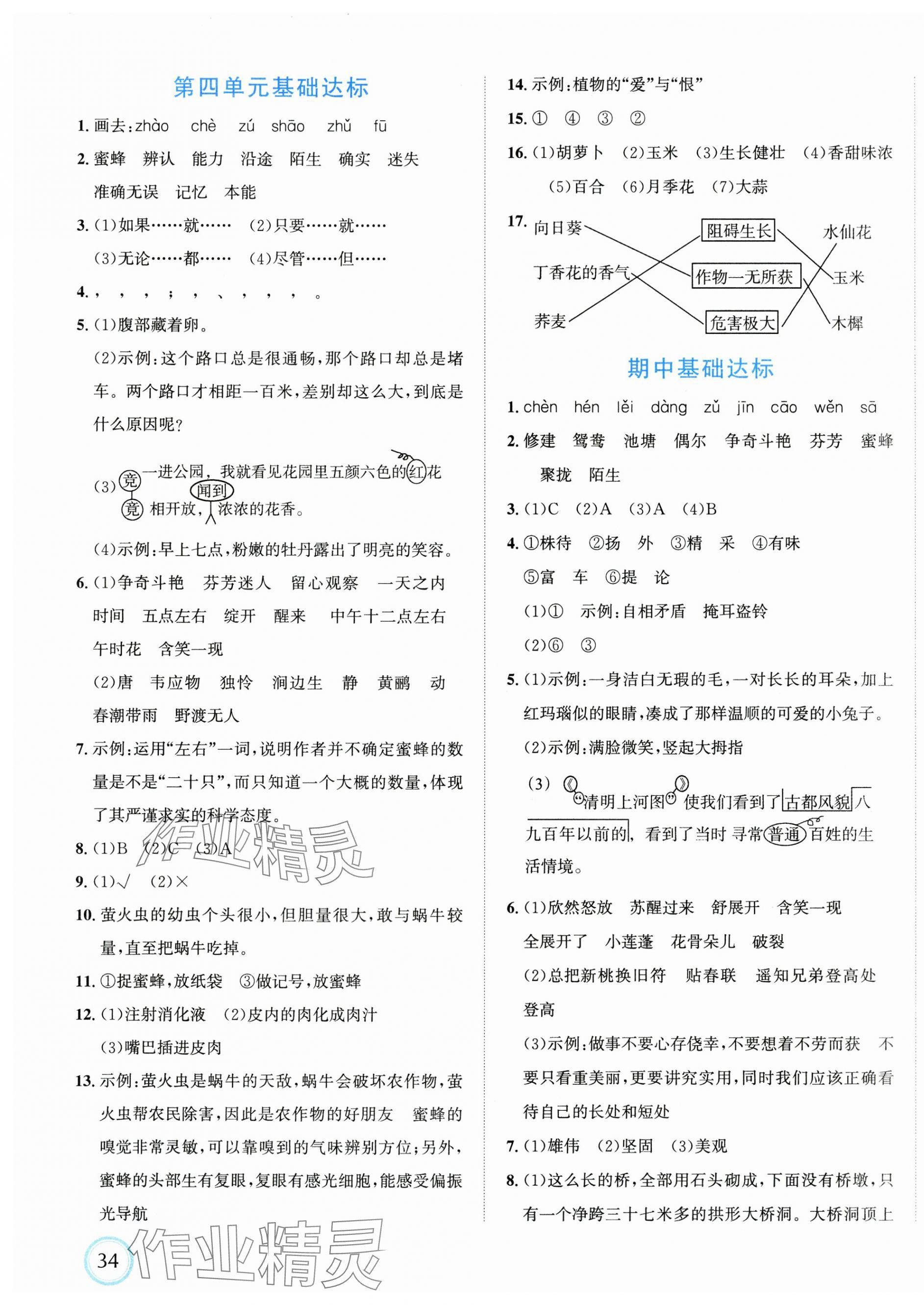 2025年浙點通提優卷三年級語文下冊人教版 參考答案第3頁