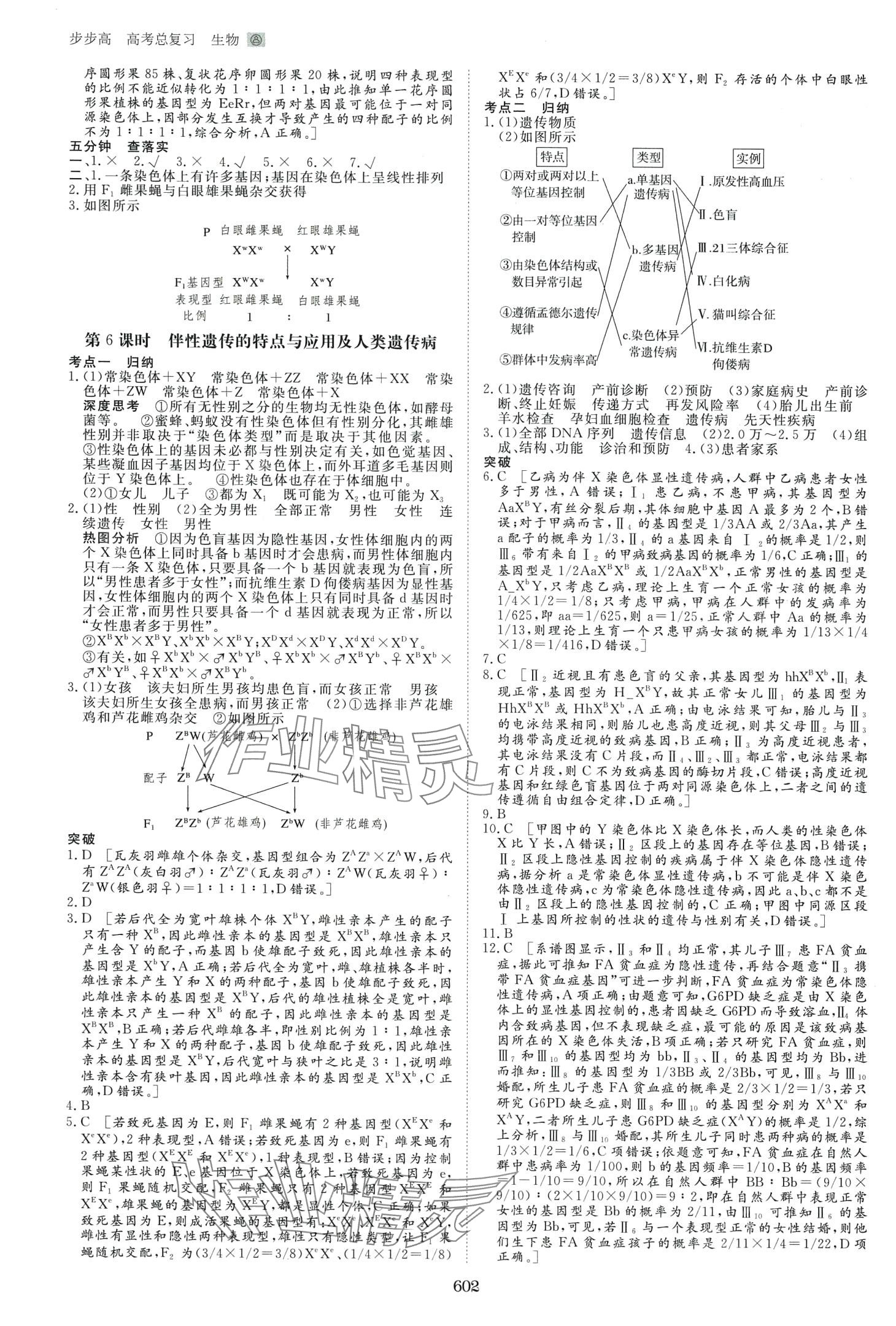 2024年步步高高考總復(fù)習(xí)大一輪復(fù)習(xí)講義高中生物通用版 第18頁(yè)