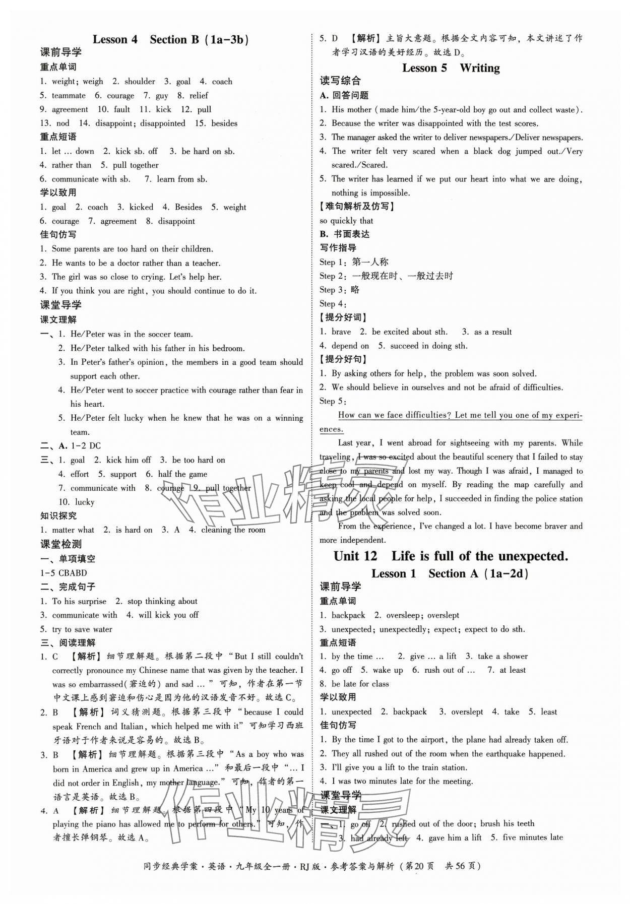 2023年同步經(jīng)典學(xué)案九年級英語全一冊人教版 第20頁