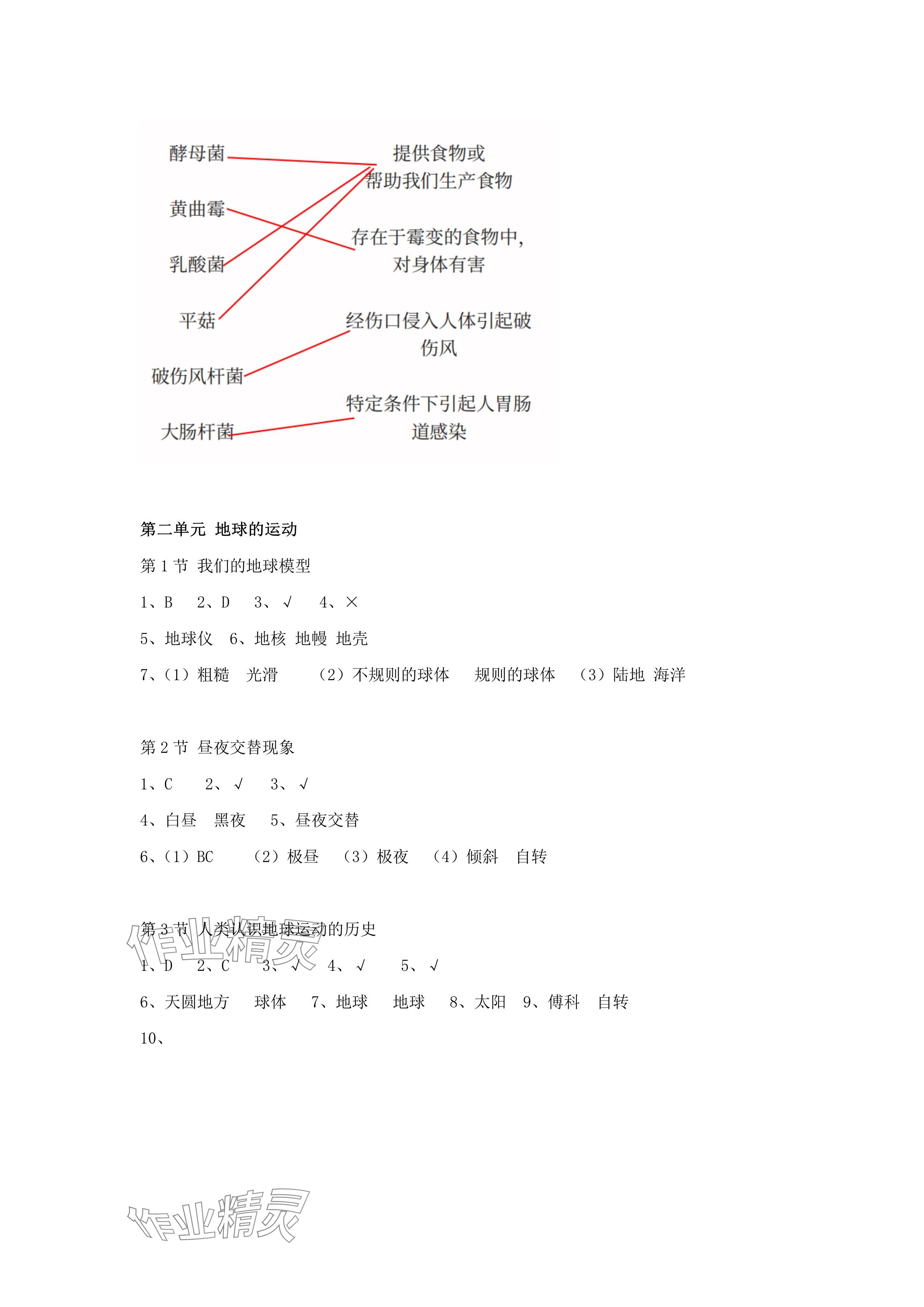 2024年科學課課練六年級上冊教科版 參考答案第3頁