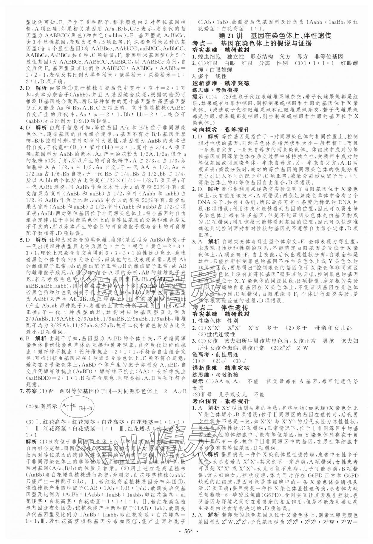 2025年高考總復習優(yōu)化設計高中生物人教版 第22頁