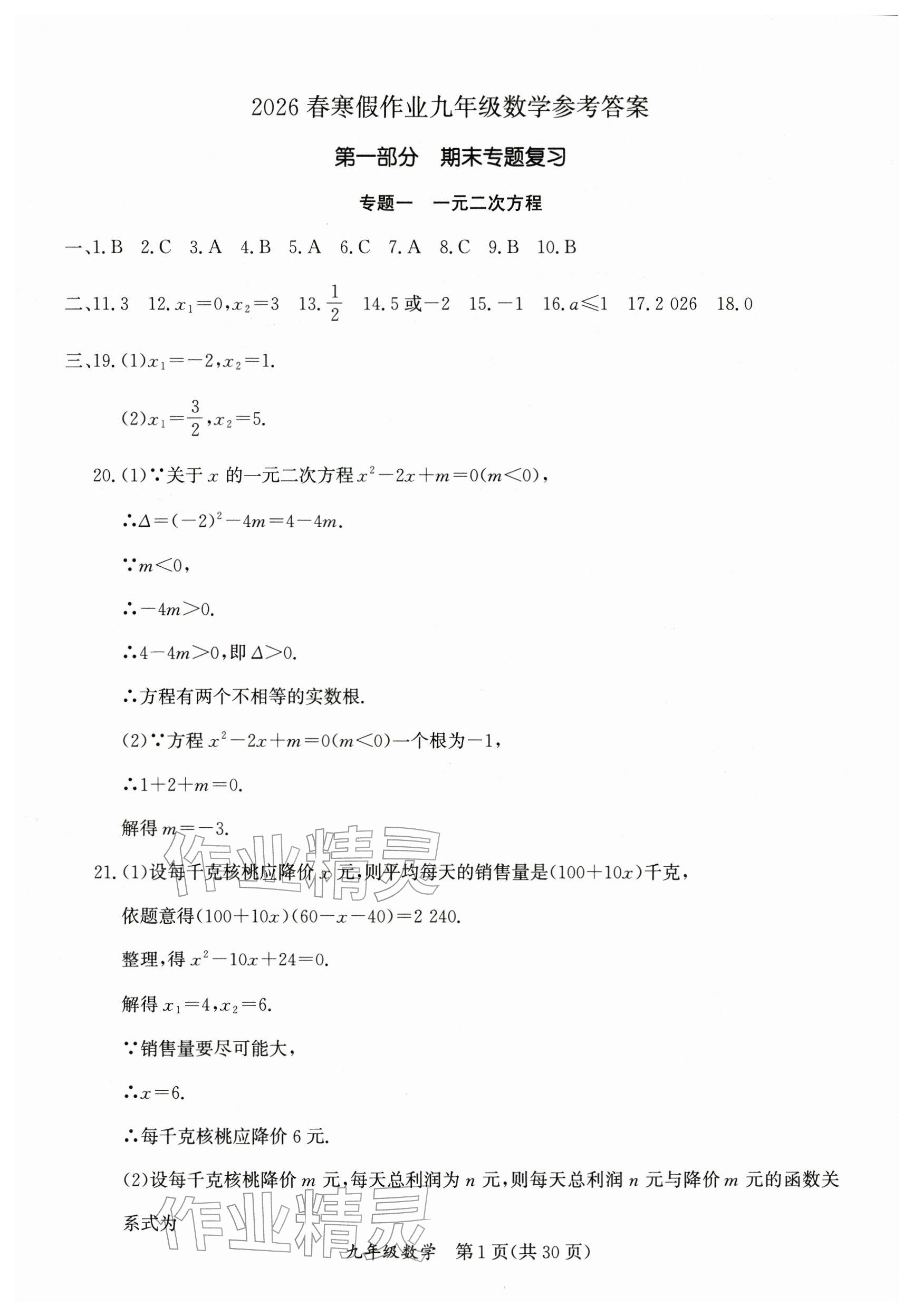 2026年寒假作業(yè)延邊教育出版社九年級(jí)合訂本人教版B版河南專(zhuān)版&nbsp;參考答案第1頁(yè)