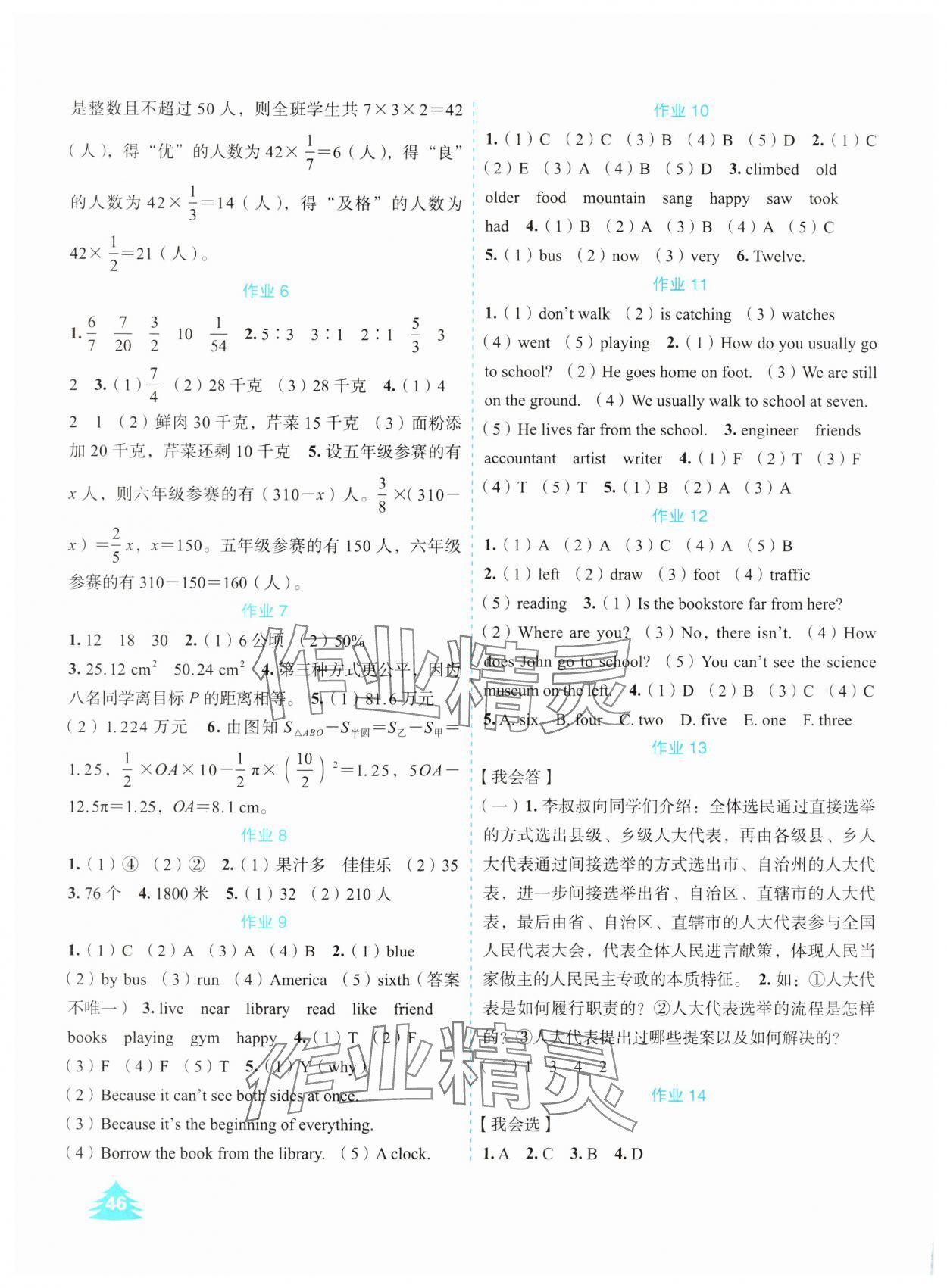 2025年七彩假日快乐假期寒假作业六年级综合人教版 第2页