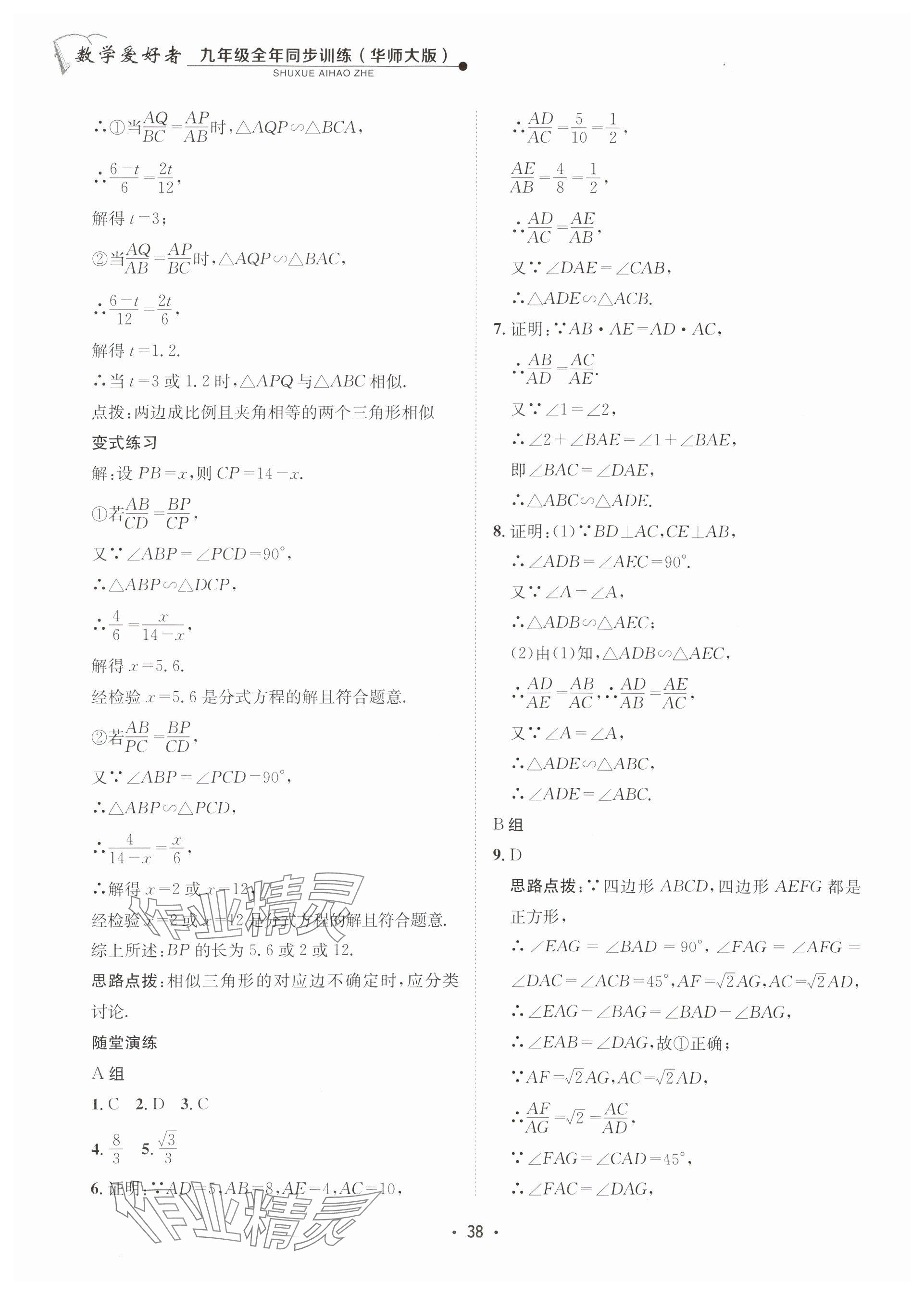 2025年數(shù)學(xué)愛好者同步訓(xùn)練九年級全一冊華師大版 參考答案第38頁