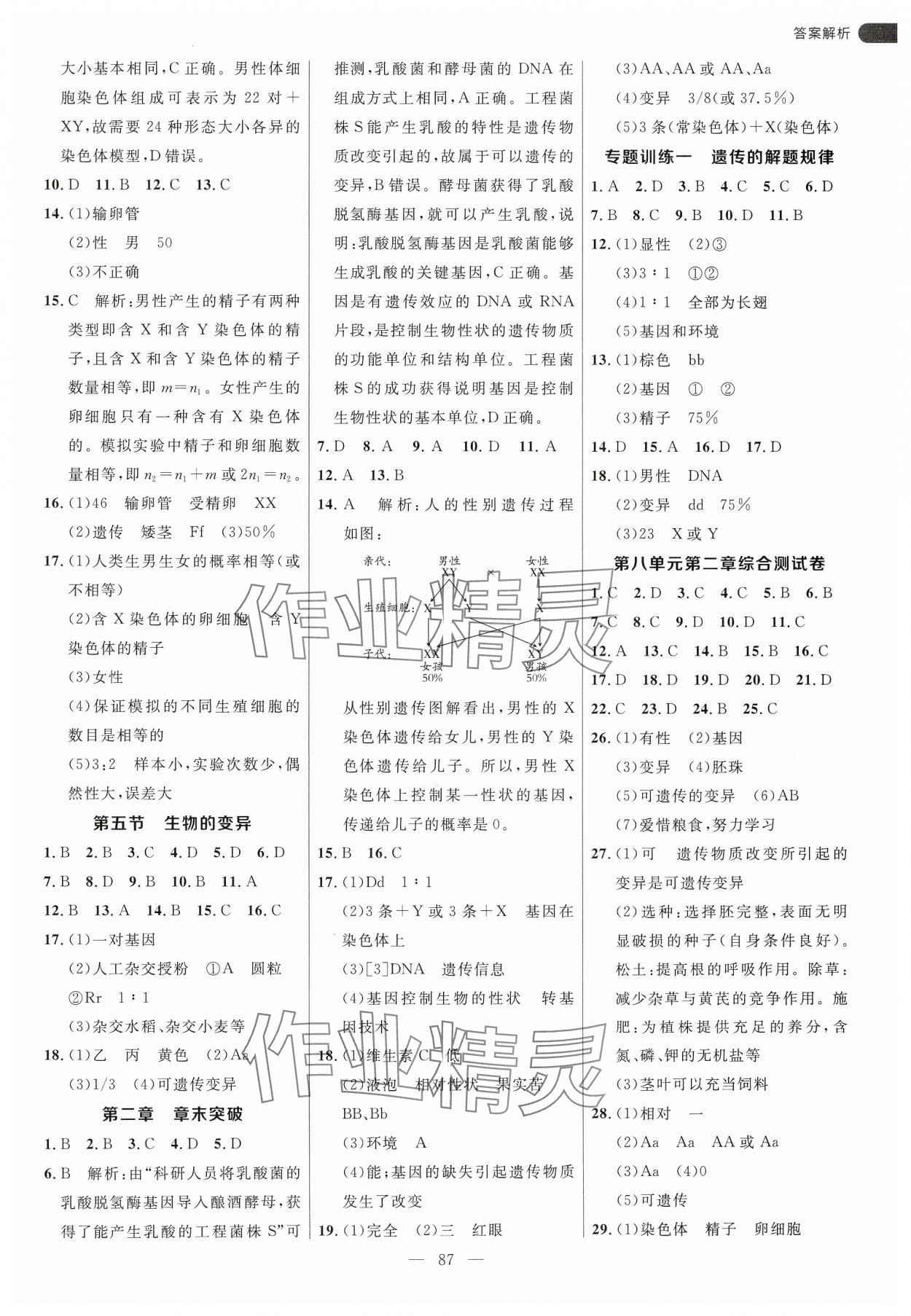 2025年細(xì)解巧練八年級(jí)生物下冊(cè)魯科版54制 參考答案第3頁(yè)