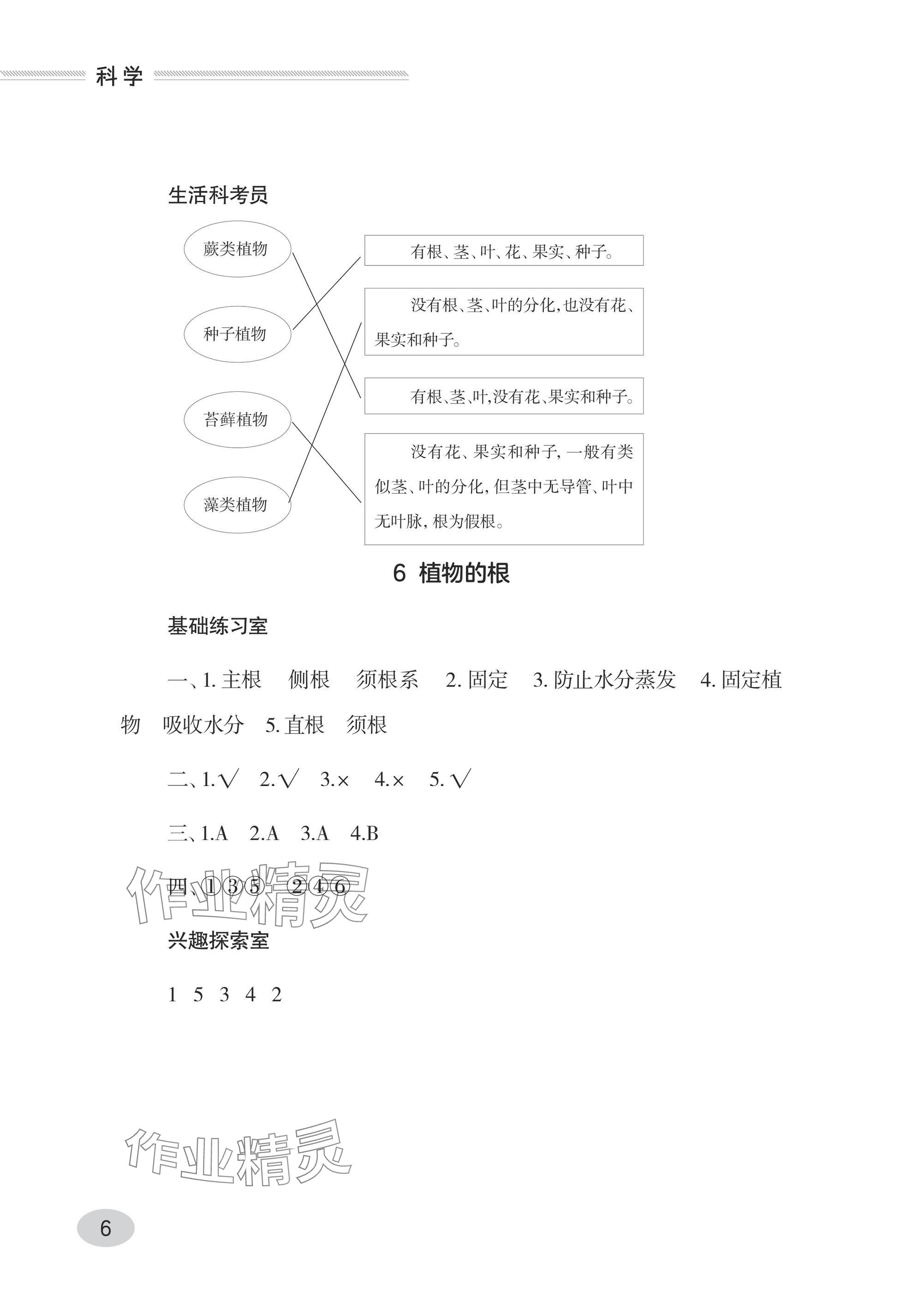 2024年同步练习册青岛出版社三年级科学上册青岛版 参考答案第6页