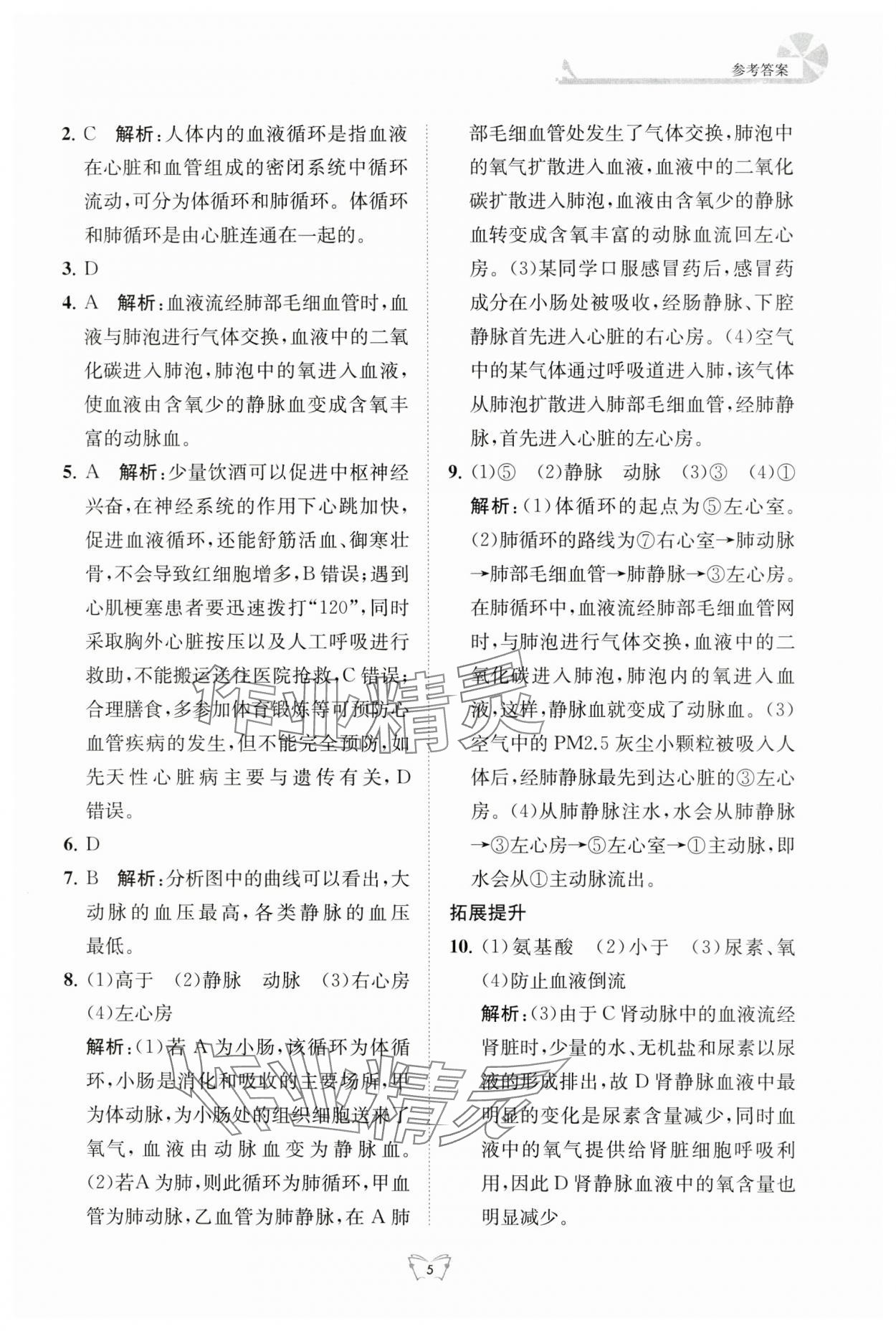 2024年創(chuàng)新課時作業(yè)本江蘇人民出版社八年級生物上冊蘇科版 第5頁