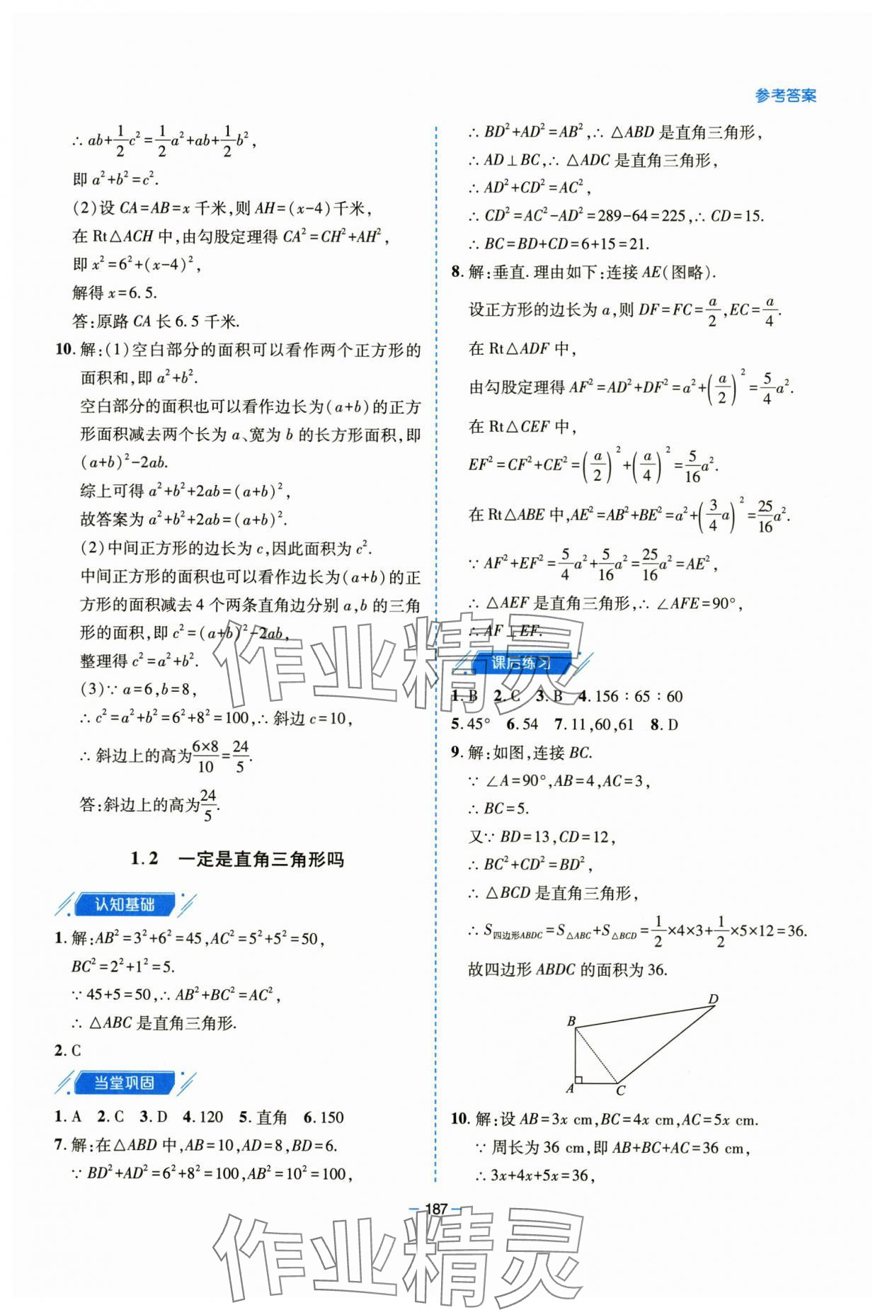 2025年新课堂学习与探究八年级数学上册北师大版 参考答案第3页
