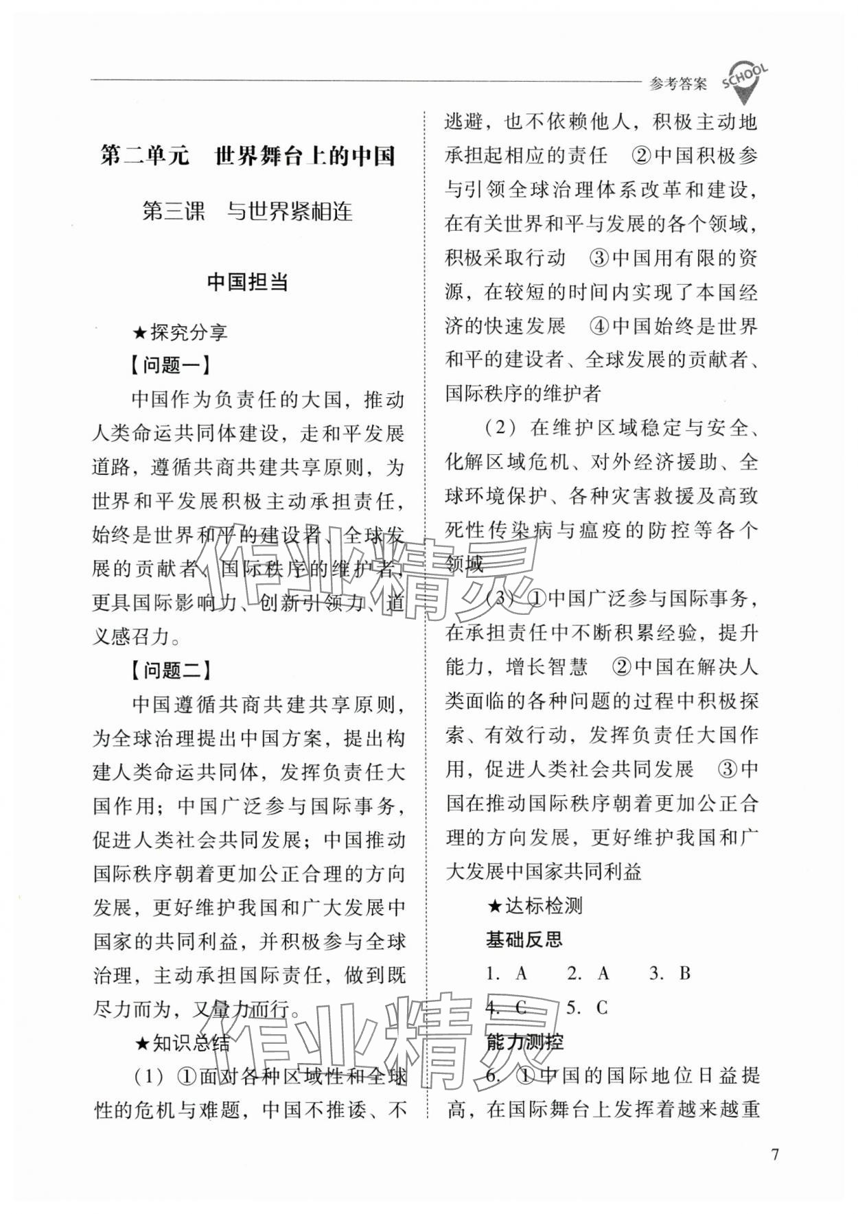 2025年新课程问题解决导学方案九年级道德与法治下册人教版 参考答案第7页