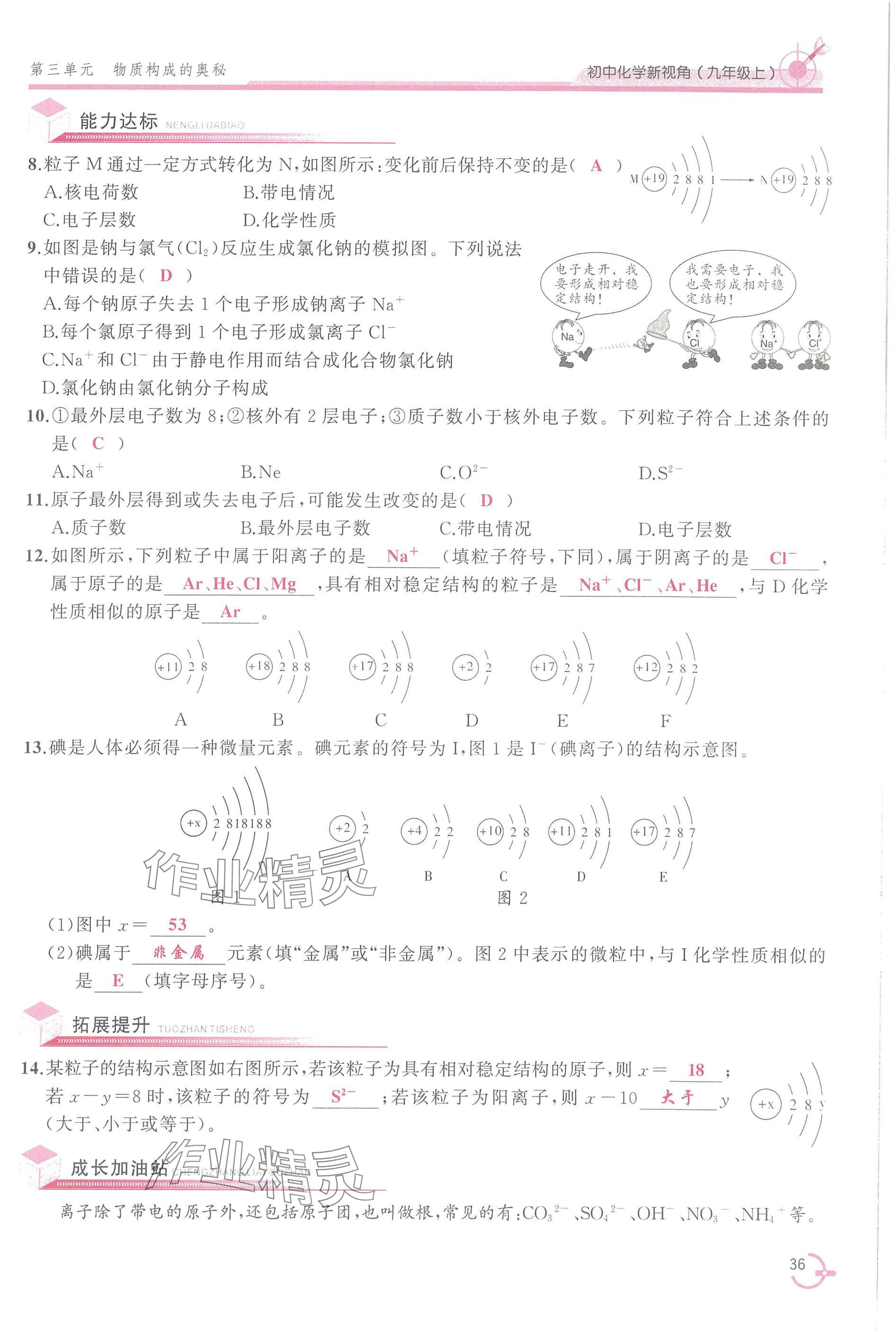 2025年新视角教辅系列丛书九年级化学上册人教版 参考答案第36页