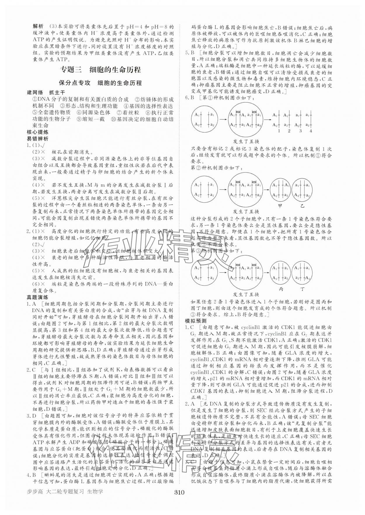 2025年步步高大二輪專題復(fù)習(xí)高中生物 參考答案第7頁