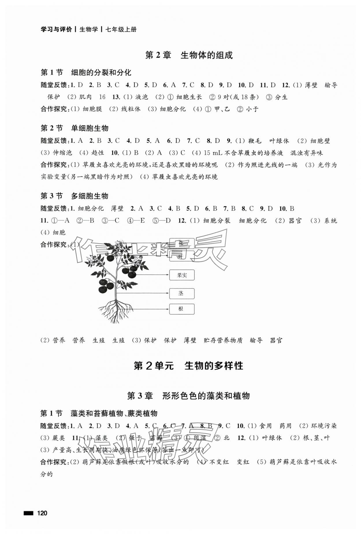 2024年学习与评价江苏凤凰教育出版社七年级生物上册苏教版江苏专版 第2页