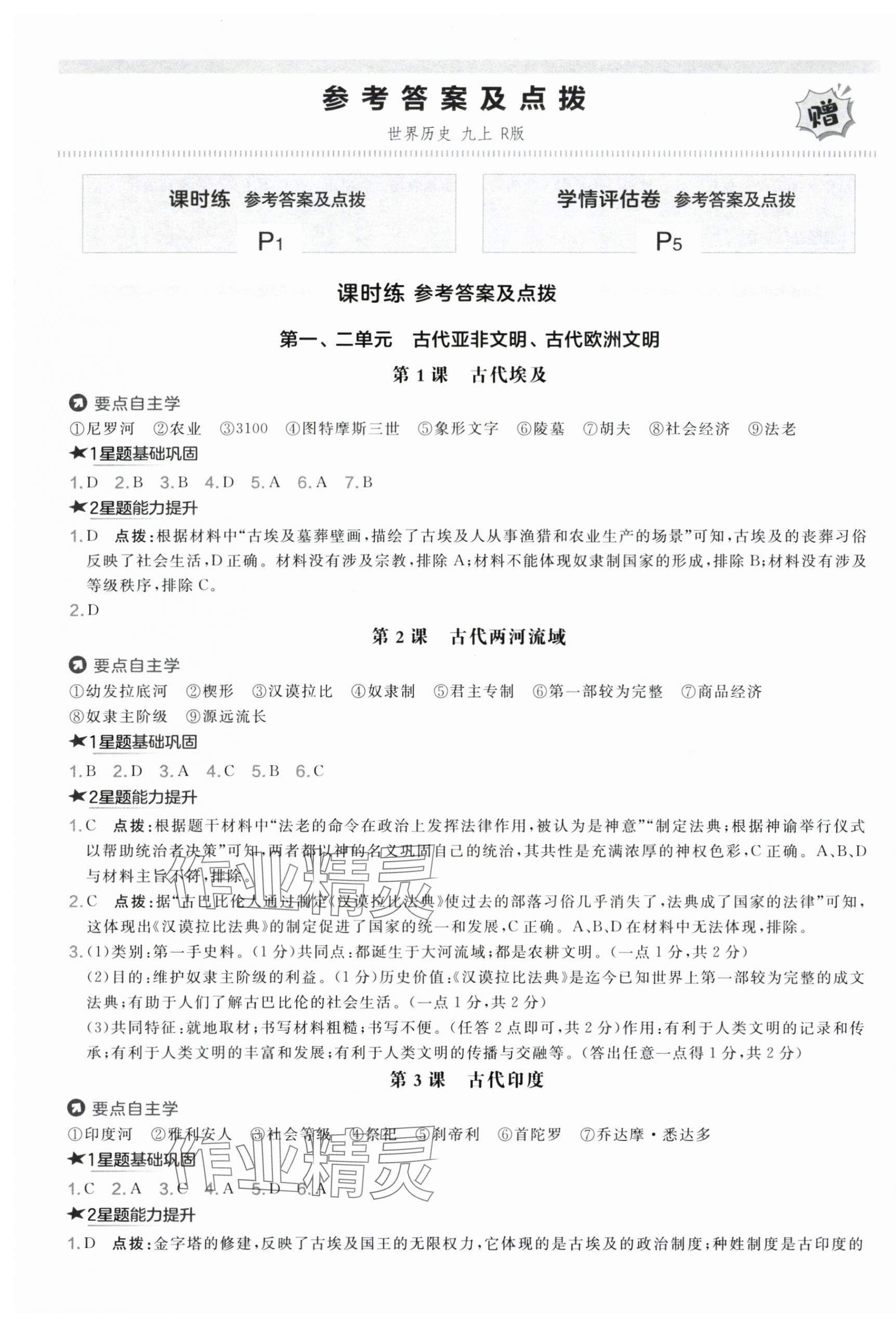2025年点拨训练九年级历史上册人教版海南专版 第1页