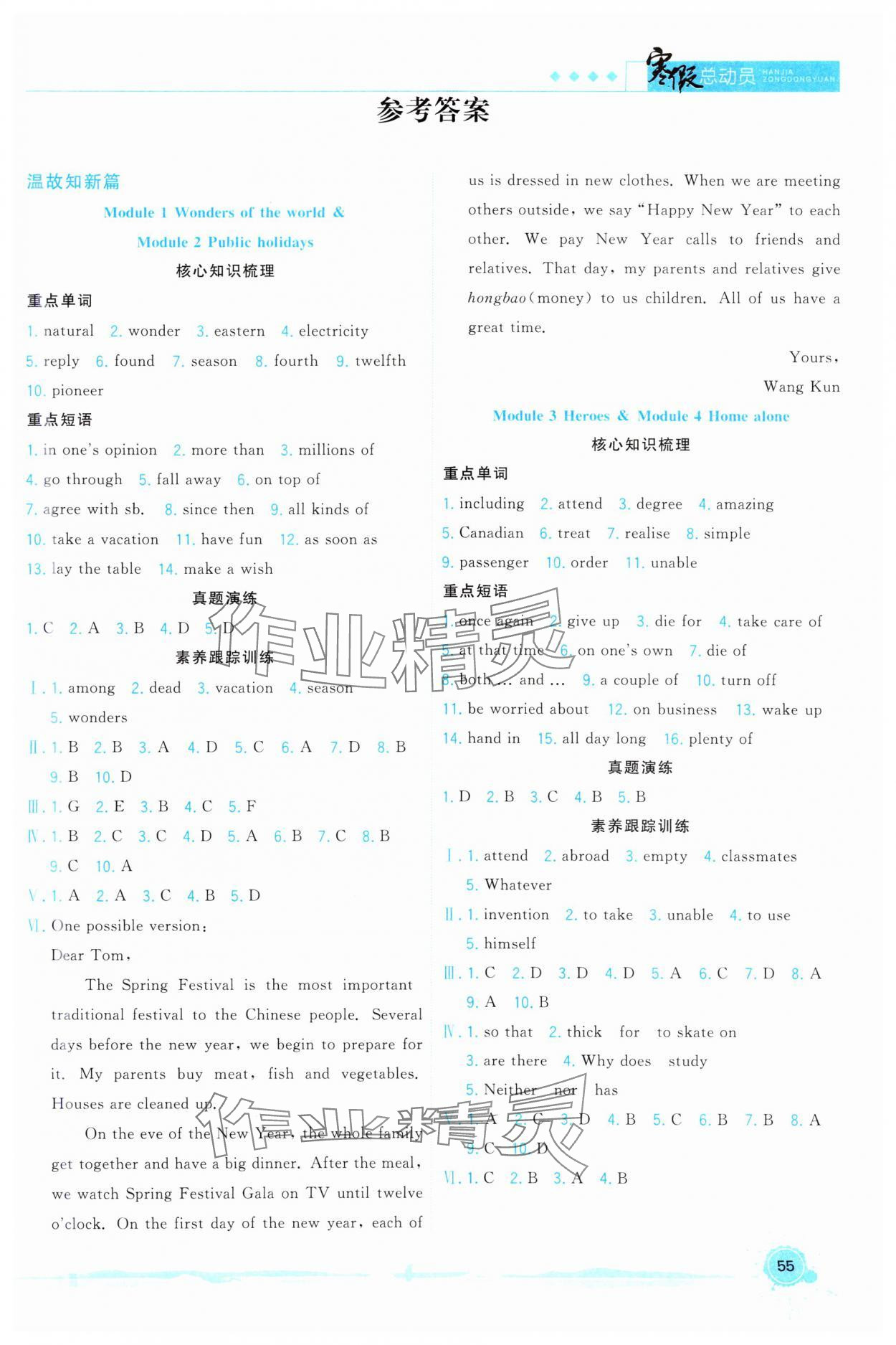 2025年寒假总动员合肥工业大学出版社九年级英语全一册外研版 第1页