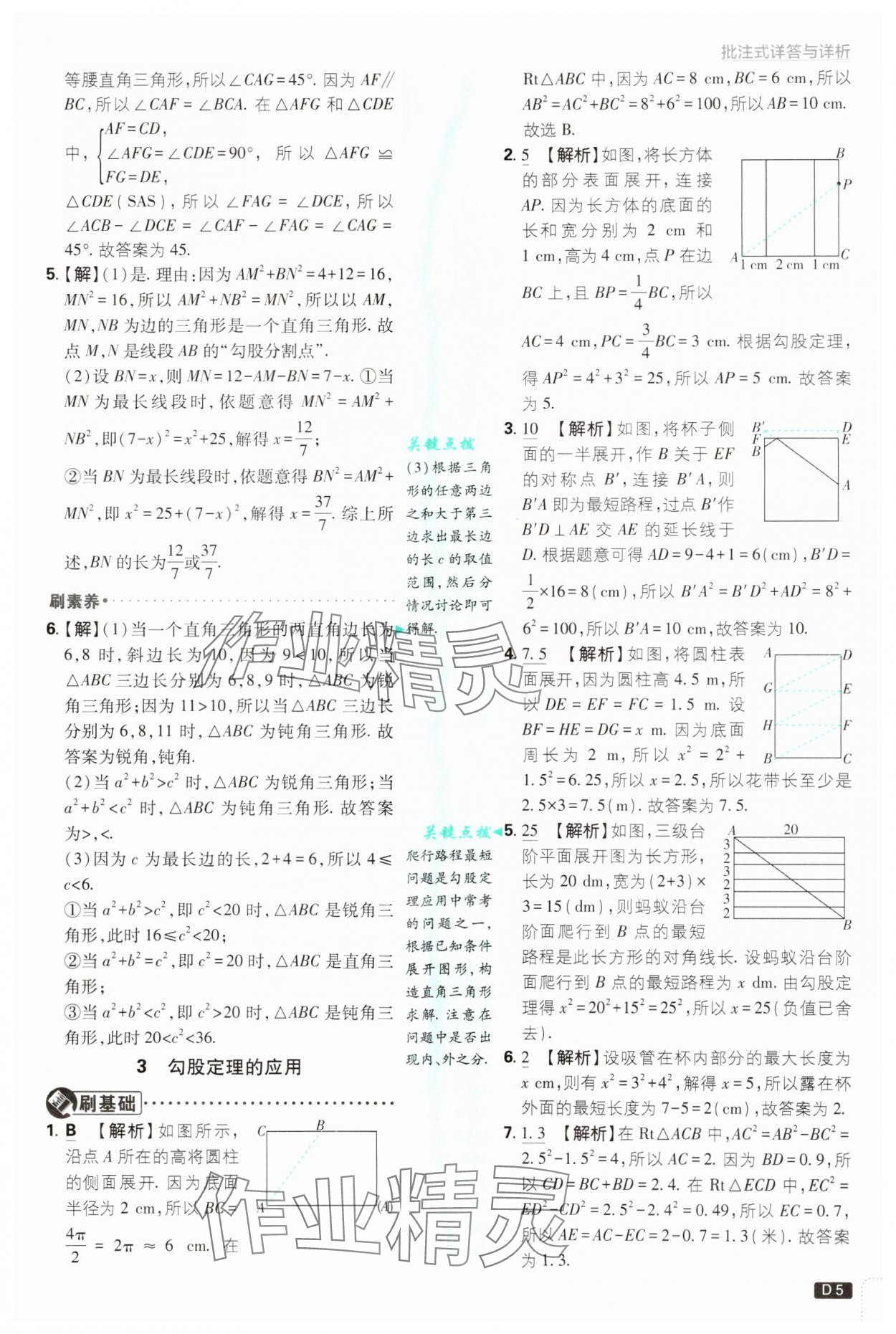 2024年初中必刷题八年级数学上册北师大版 第5页