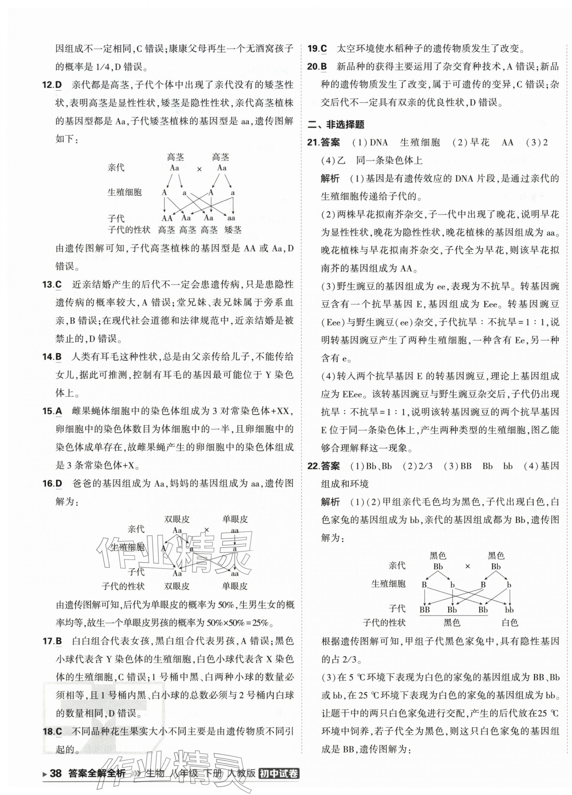 2026年5年中考3年模拟初中试卷八年级生物下册人教版&nbsp;第3页