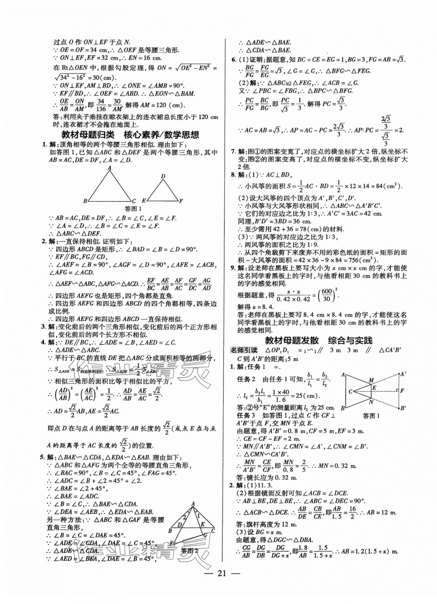 2025年領(lǐng)跑作業(yè)本九年級數(shù)學(xué)全一冊北師大版 第21頁