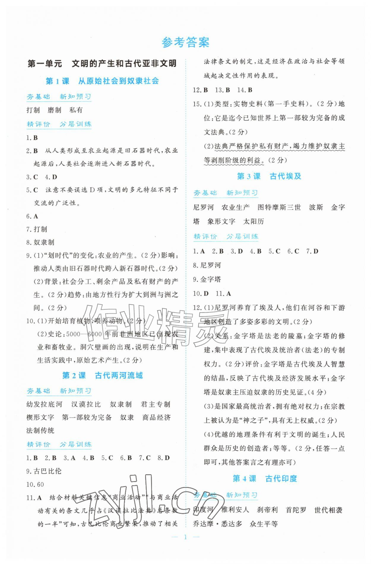 2026年同步导学与训练九年级历史上册人教版&nbsp;第1页