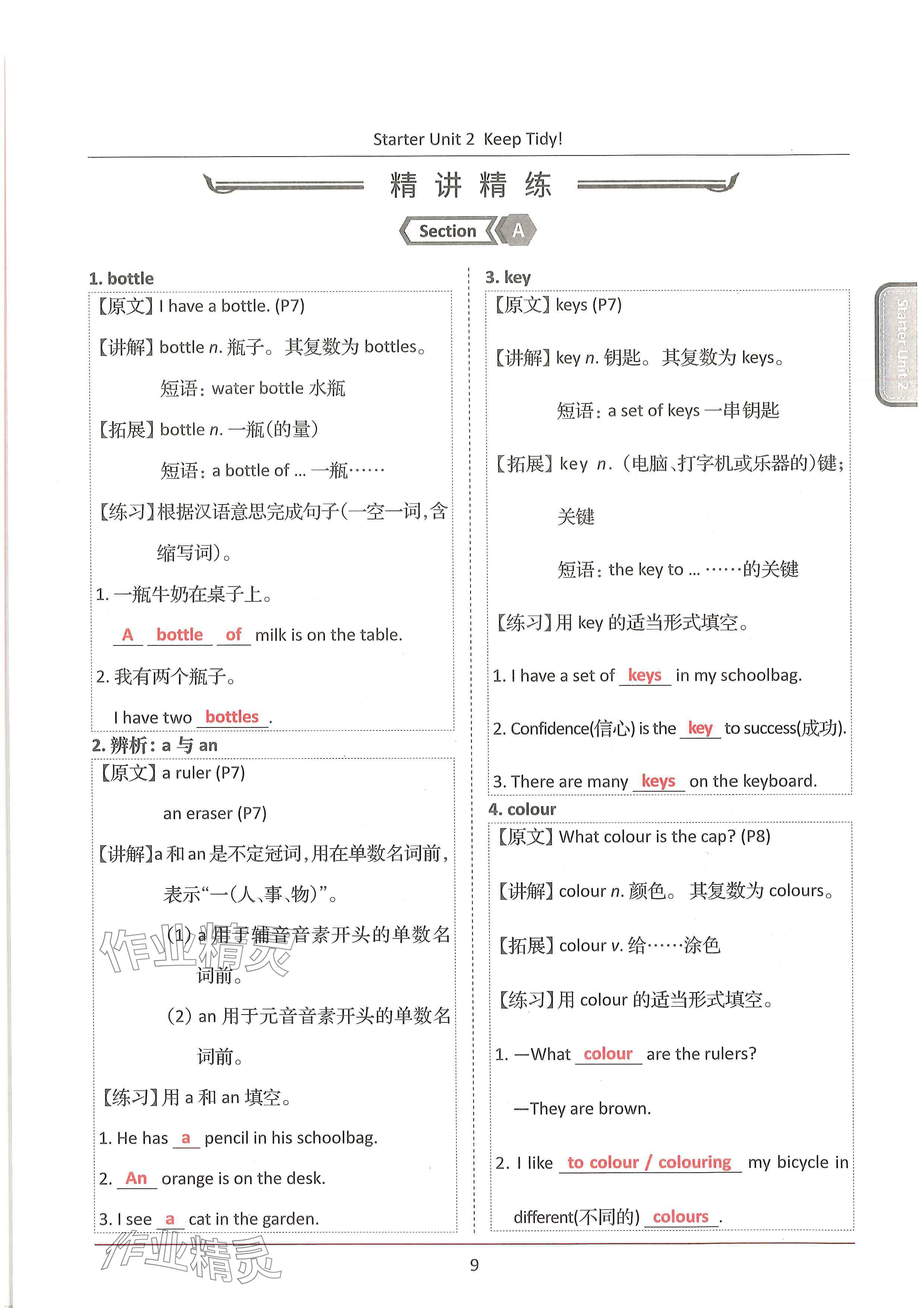2024年新视界单元复习七年级英语上册人教版&nbsp;参考答案第9页