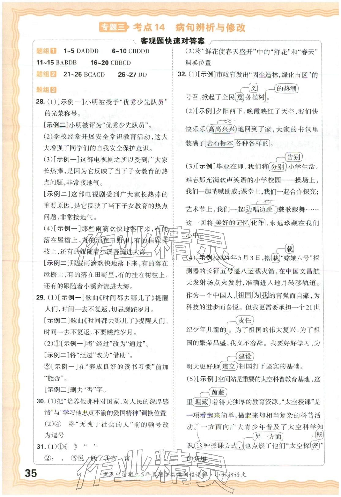 2026年重点中学招生5年真题分类集训小升初语文&nbsp;第35页