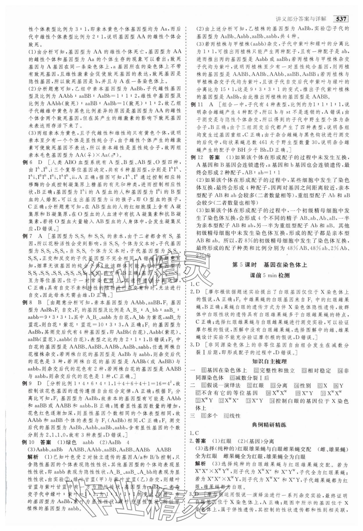 2025年金版教程高考科學(xué)復(fù)習(xí)解決方案生物&nbsp;參考答案第22頁(yè)