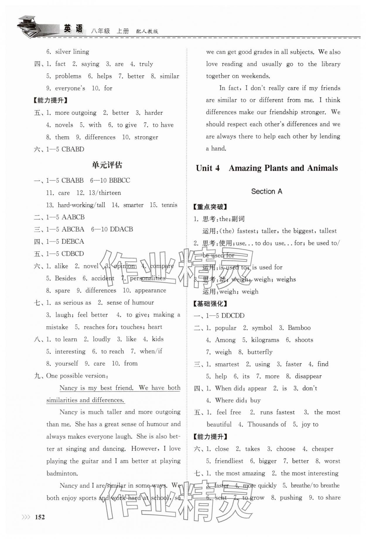 2025年同步練習(xí)冊山東科學(xué)技術(shù)出版社八年級英語上冊人教版 第5頁