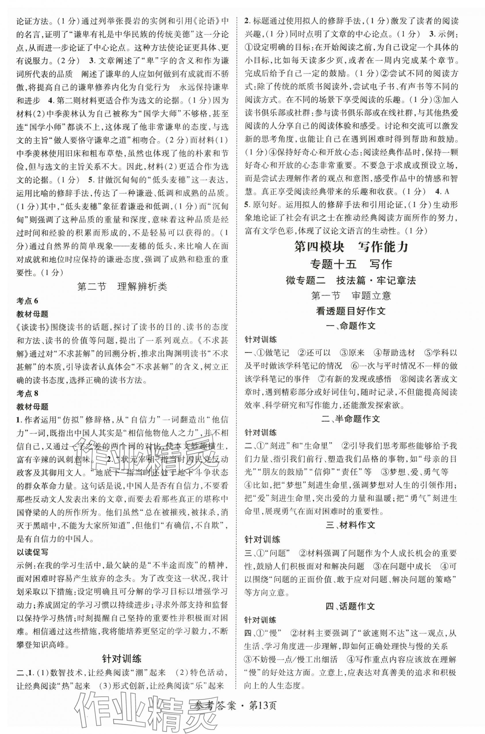 2025年鴻鵠志中考王語(yǔ)文廣西專版 第13頁(yè)