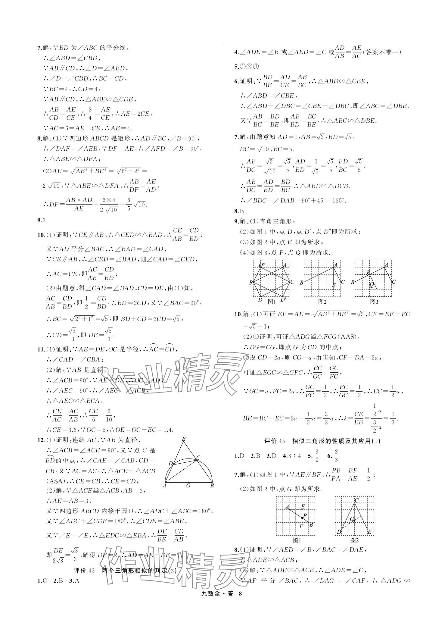 2023年名師面對面學科素養評價九年級數學上冊浙教版 參考答案第8頁