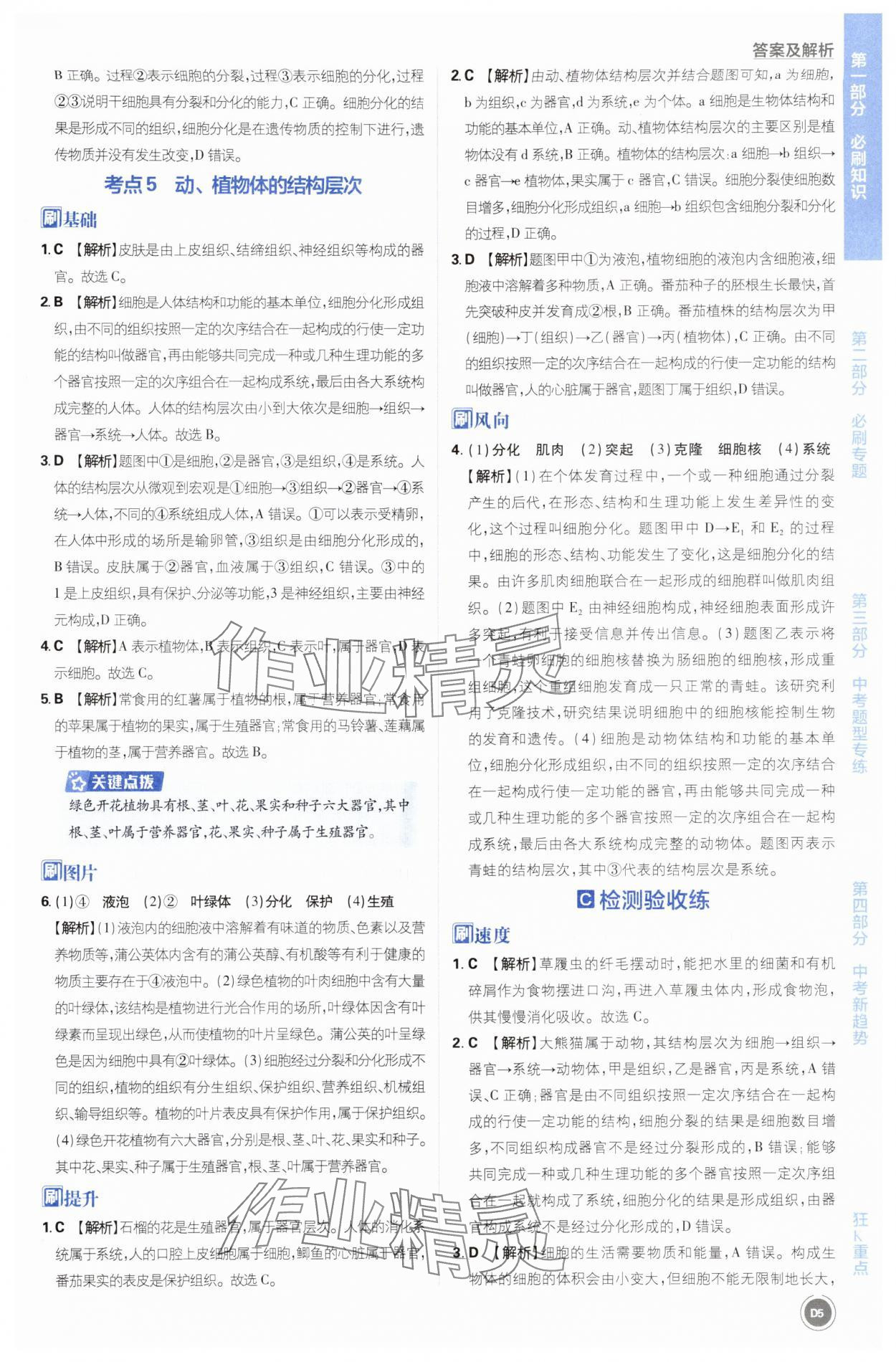 2025年中考必刷题开明出版社生物&nbsp;第5页