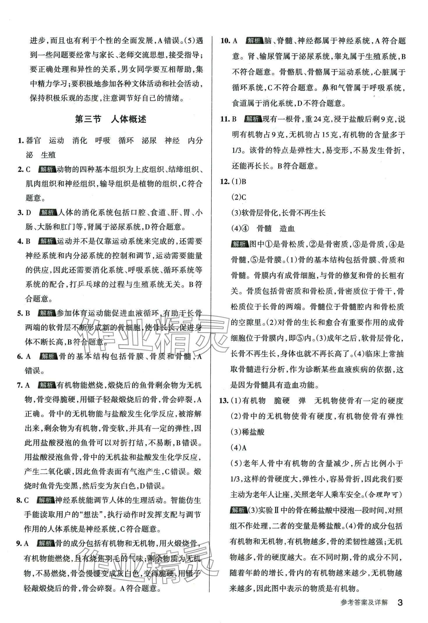 2024年名校作业七年级生物下册苏教版 第3页