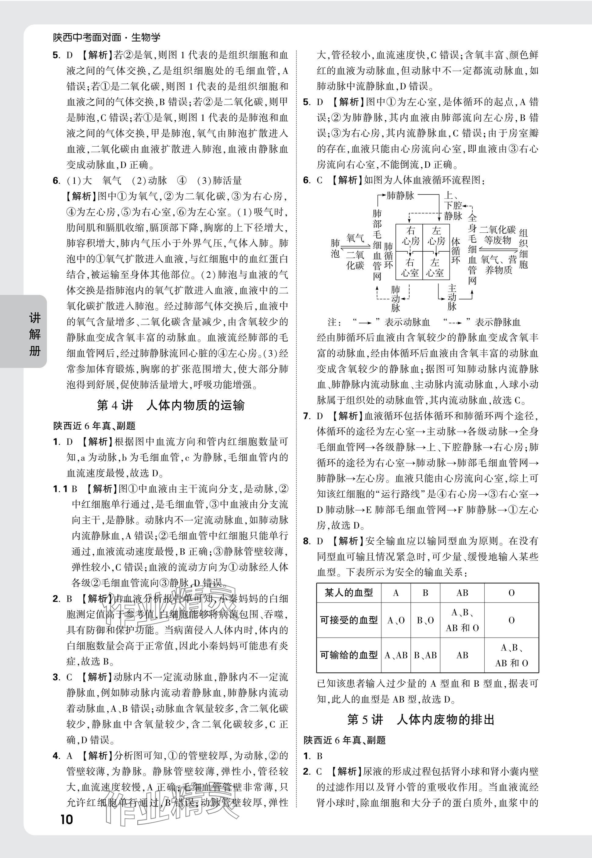 2025年中考面對面生物中考人教版陜西專版 參考答案第16頁