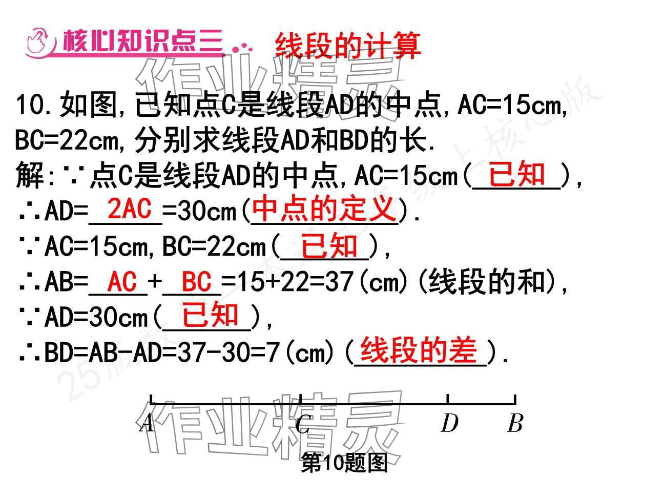 2024年一本通武漢出版社七年級數(shù)學上冊北師大版核心板 參考答案第21頁