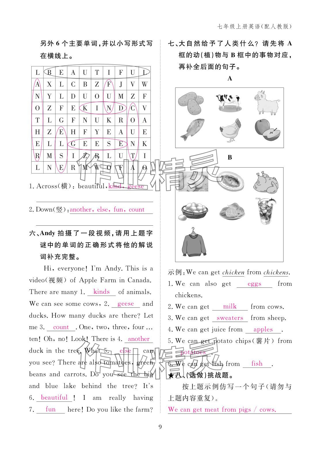 2025年作业本江西教育出版社七年级英语上册人教版 参考答案第9页