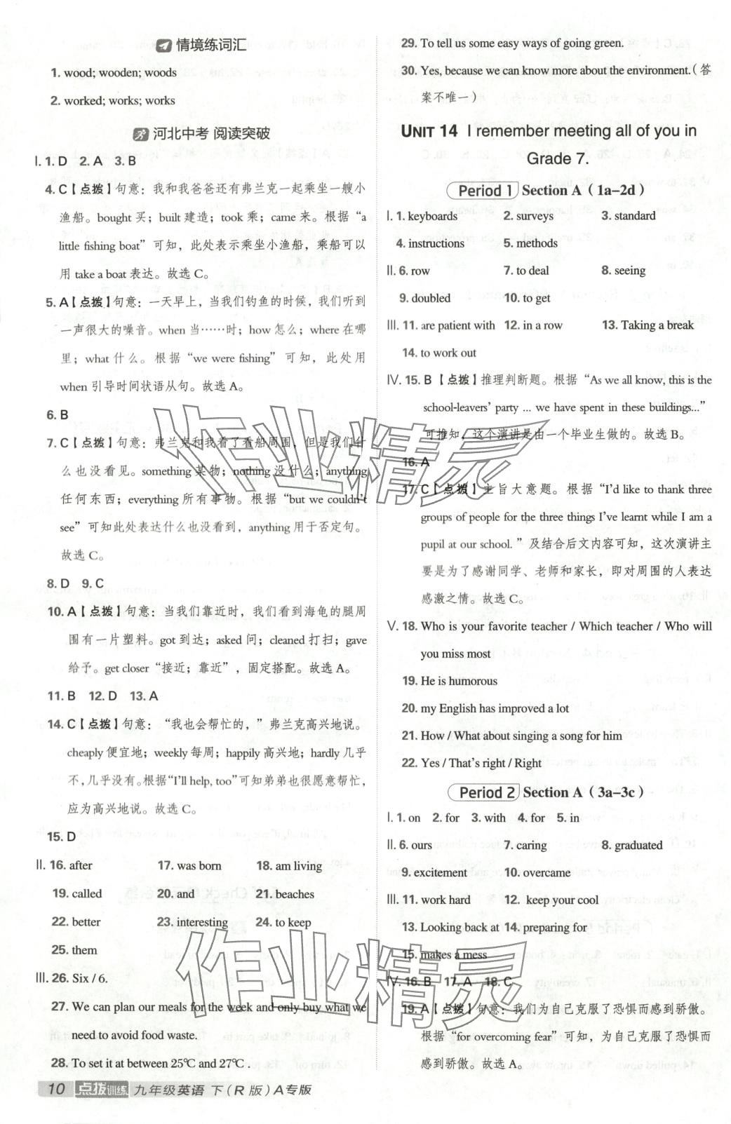 2025年点拨训练九年级英语下册人教版河北专版 第10页