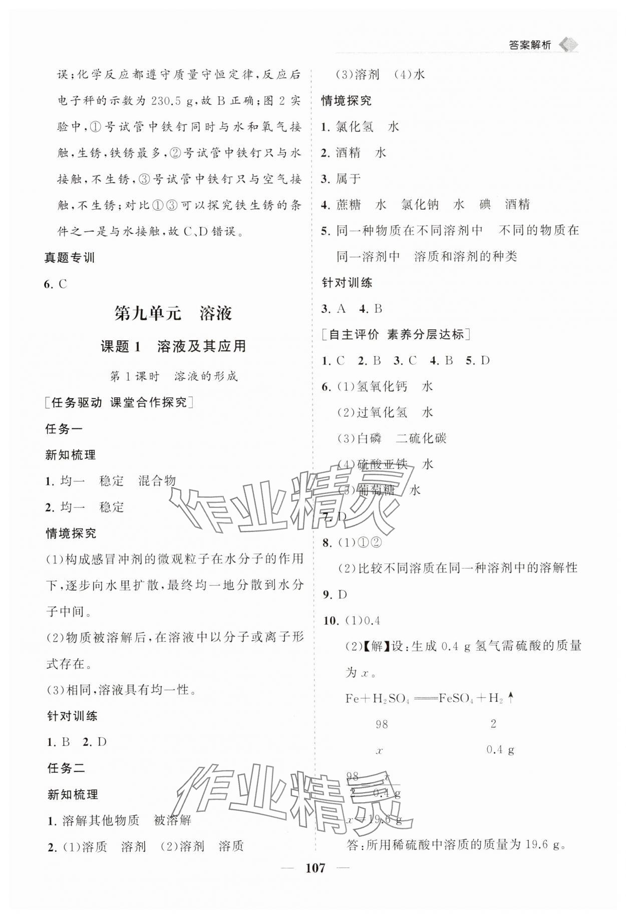 2025年新課程同步練習(xí)冊九年級化學(xué)下冊人教版 第7頁