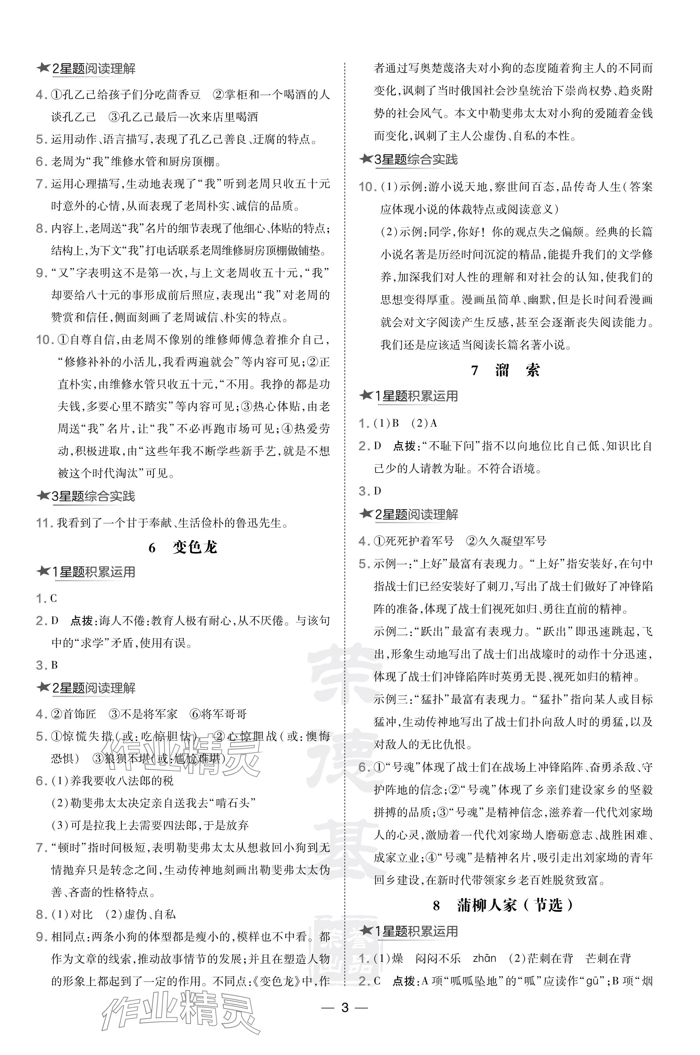 2024年點(diǎn)撥訓(xùn)練九年級語文下冊人教版遼寧專版 參考答案第3頁