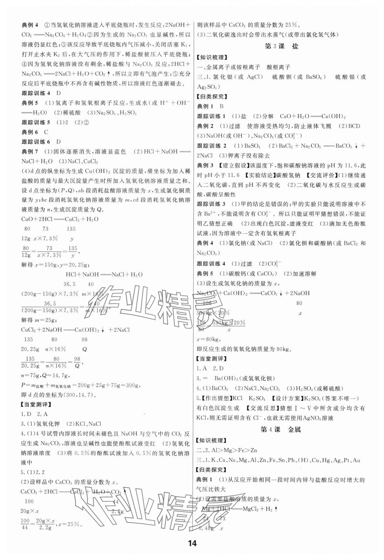 2024年全效學習中考學練測科學年級版 參考答案第13頁
