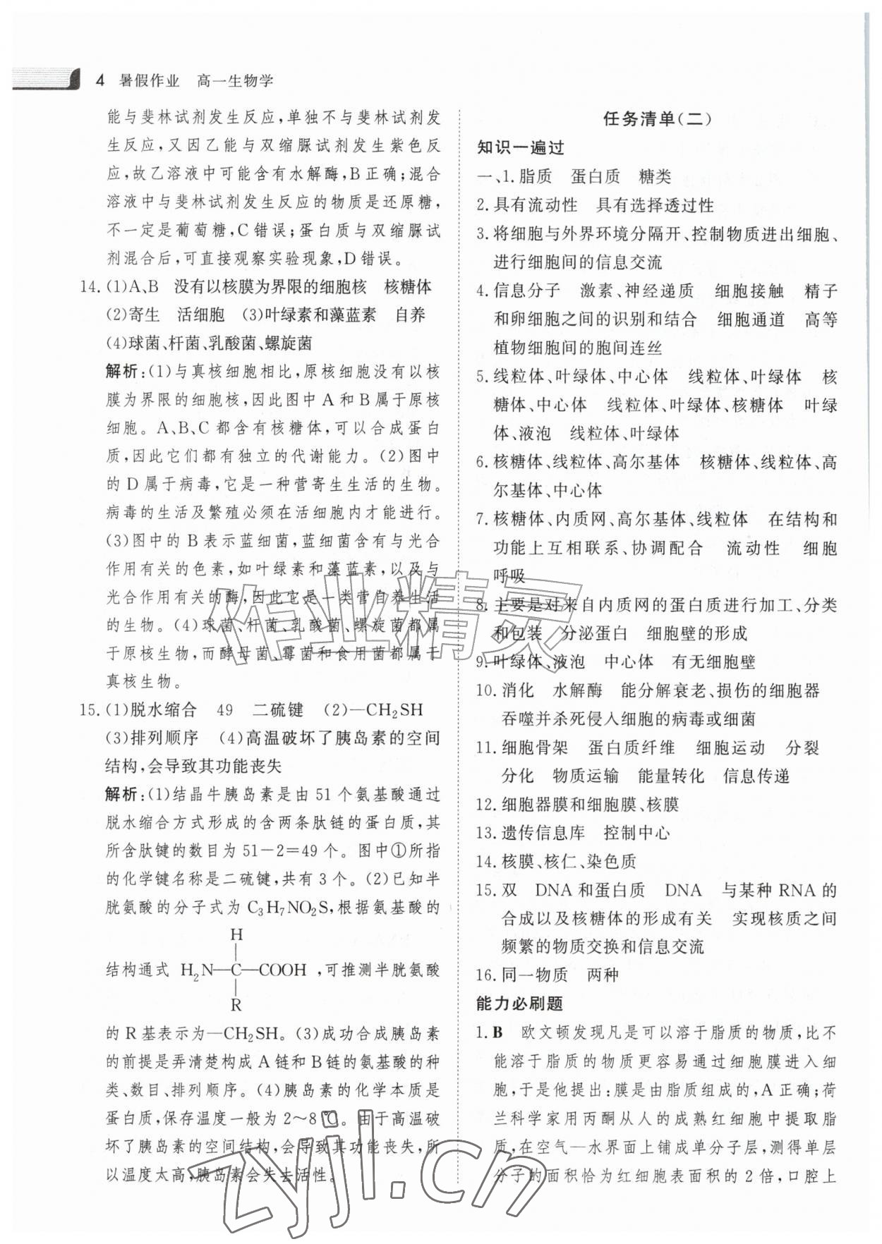 2026年金版新学案暑假作业高一生物&nbsp;参考答案第3页