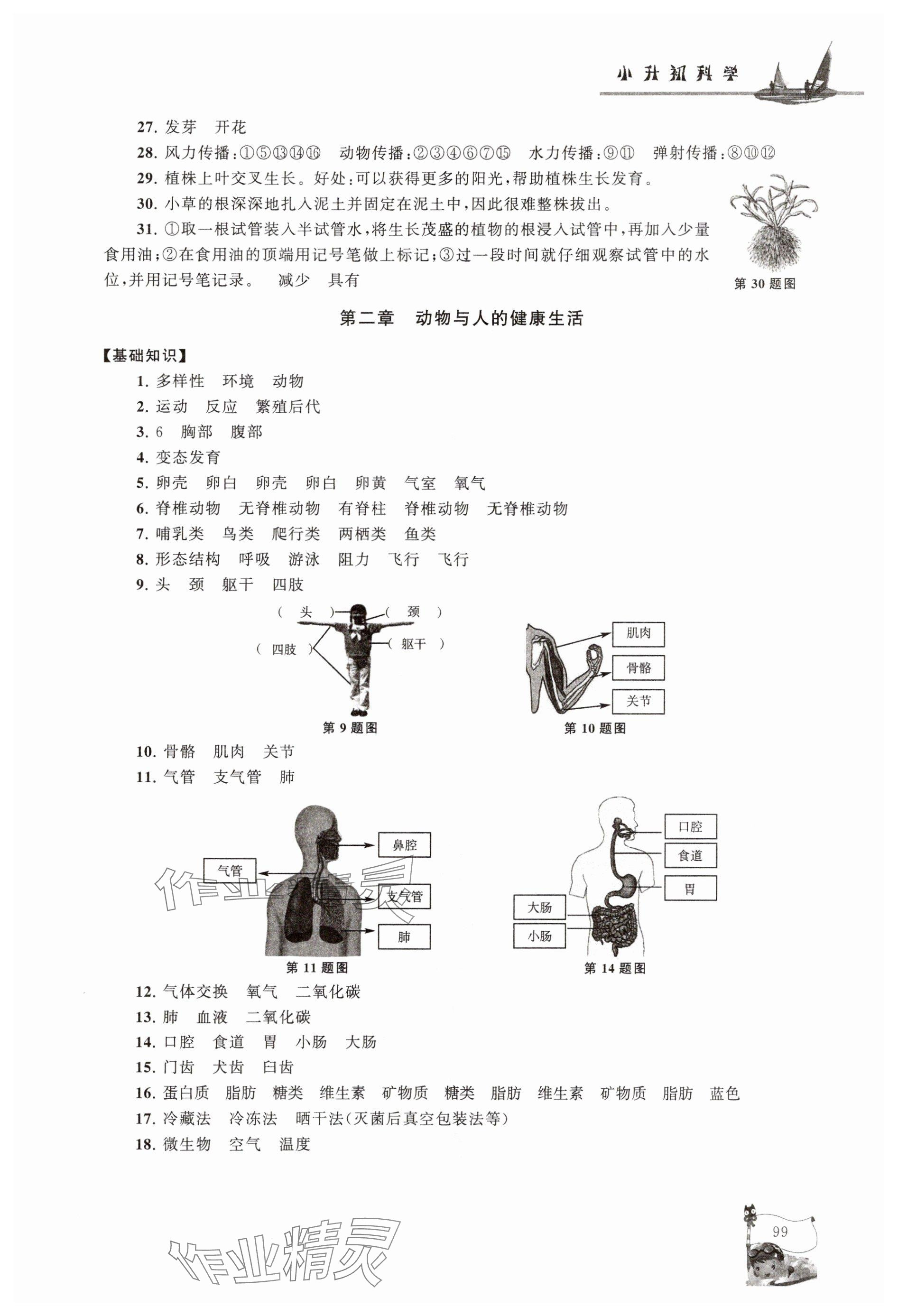 2025年暑假大串联六年级科学教科版 参考答案第2页