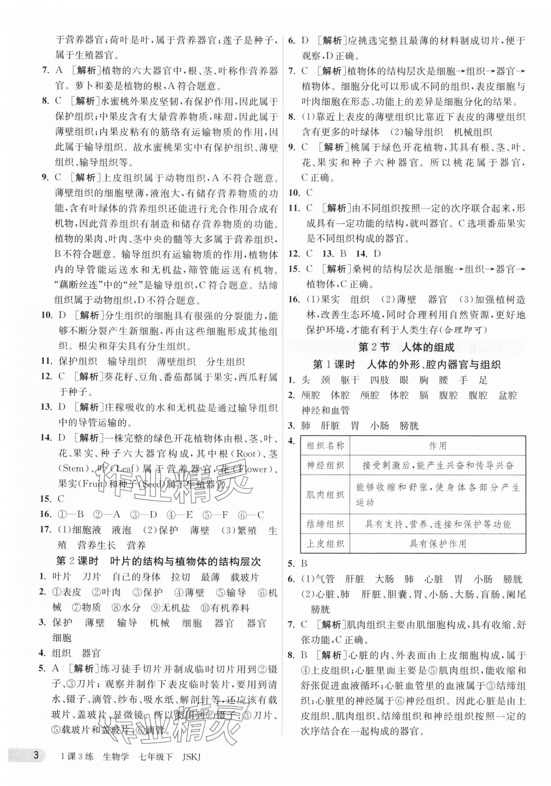 2024年1課3練單元達標測試七年級生物下冊蘇科版 第3頁