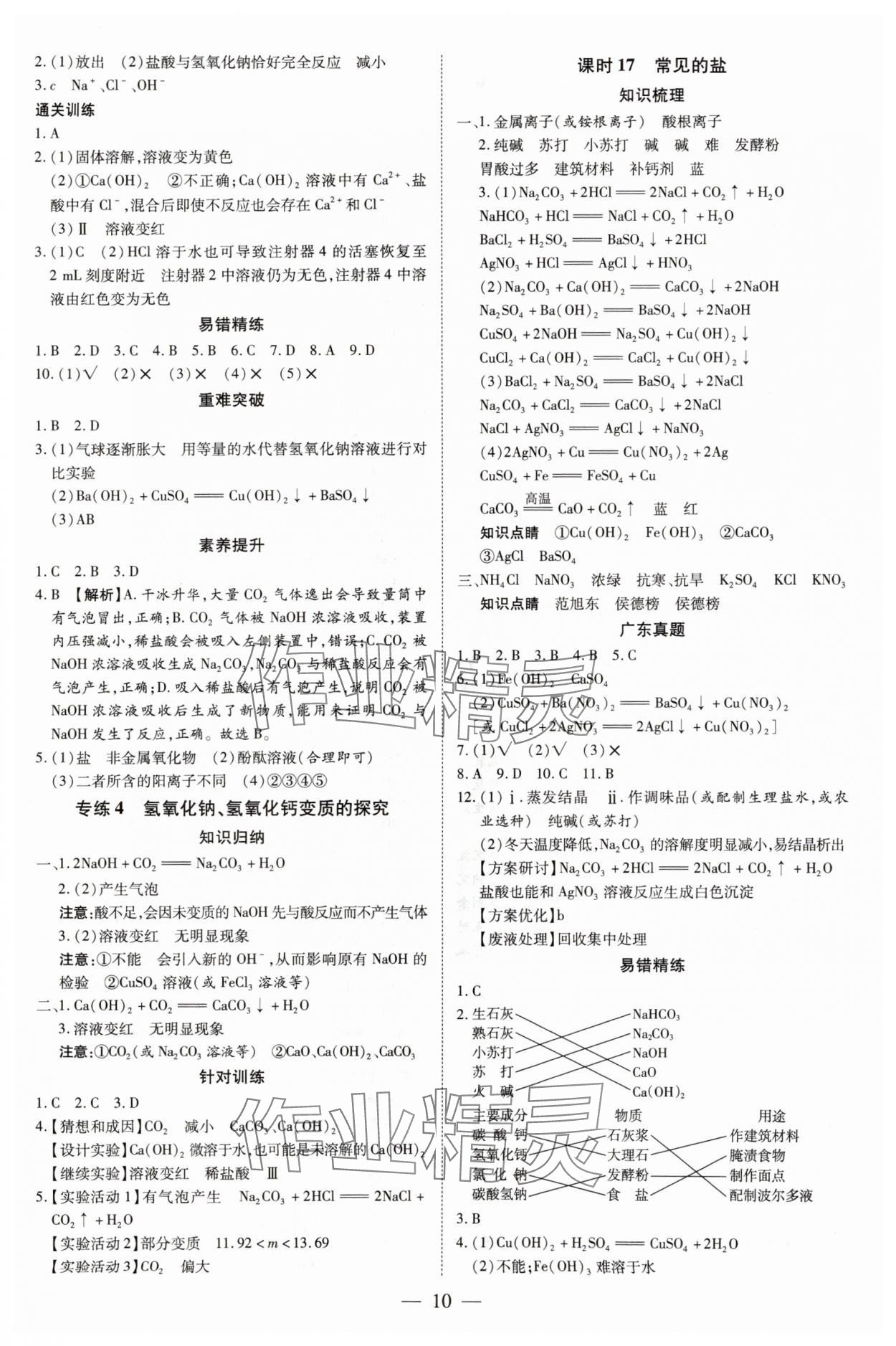 2025年領跑中考化學廣東專版 參考答案第10頁